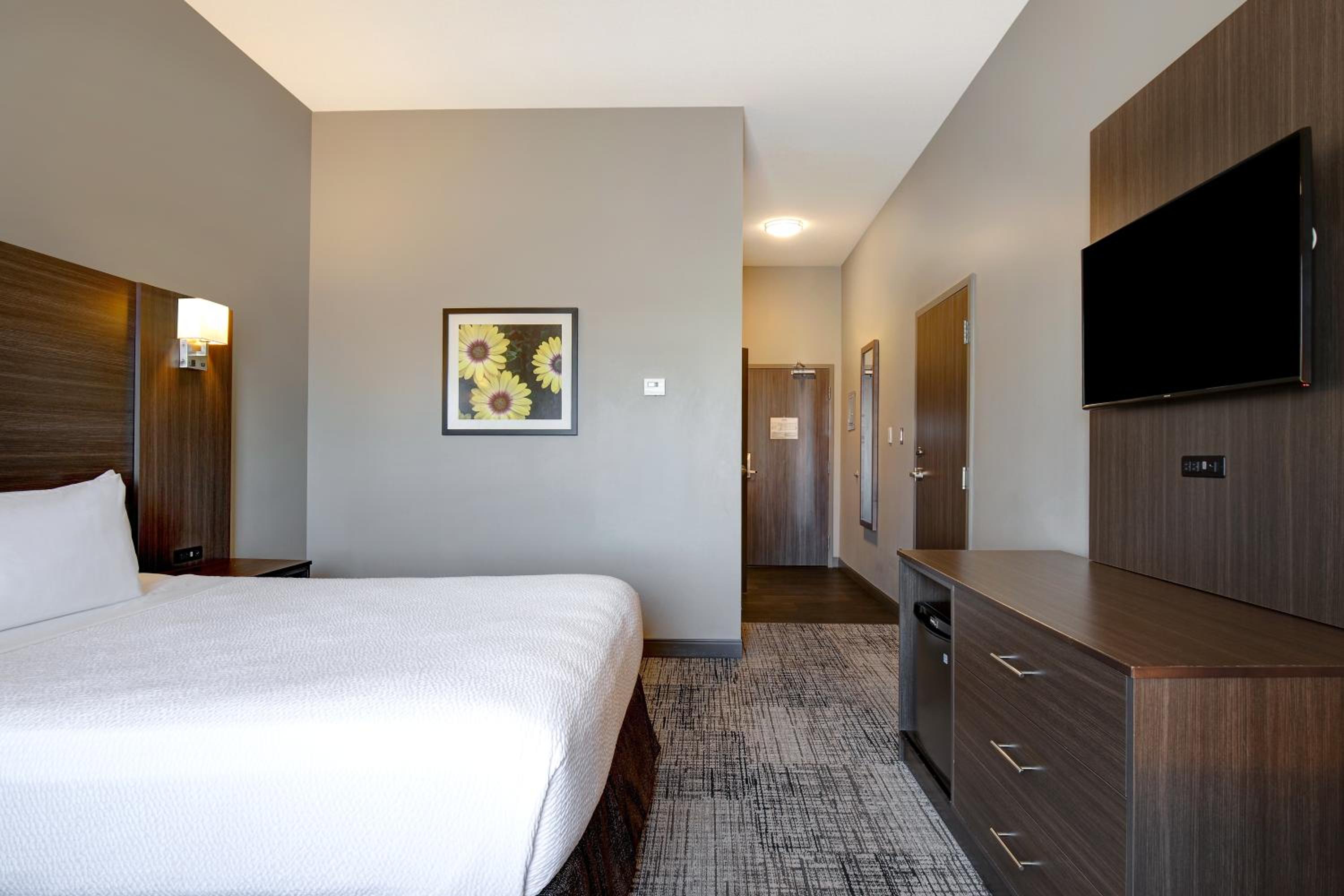 Queen Room - Disability Access photo 1