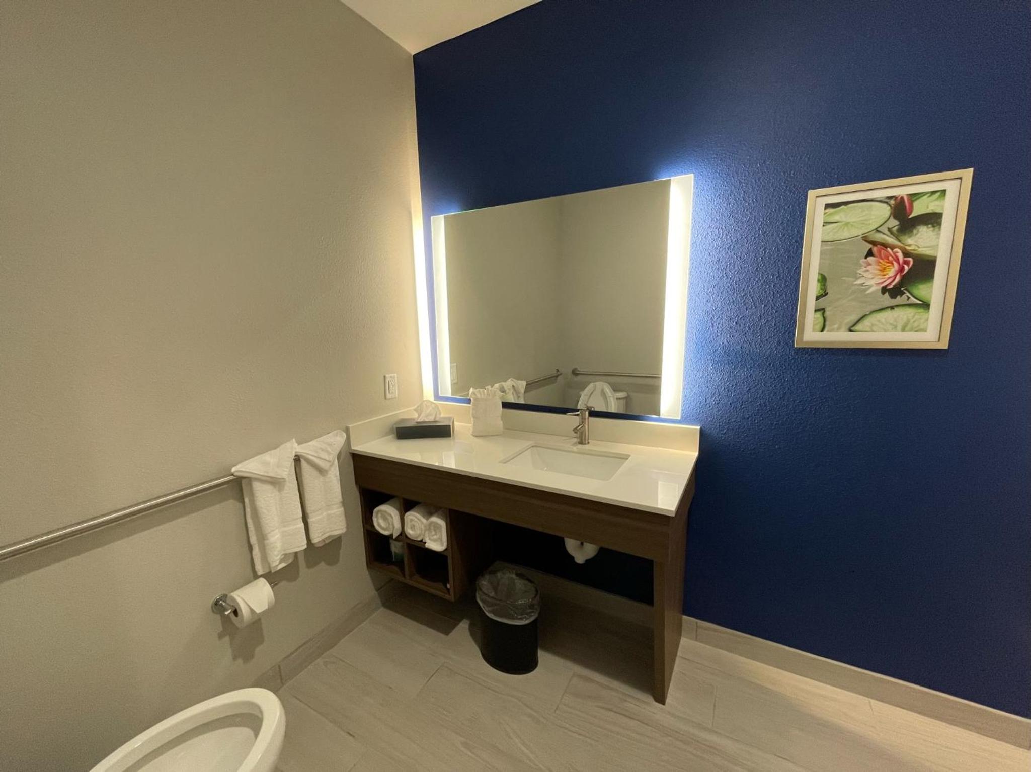 King Room with Mobility/Hearing Access and Roll-In Shower - Non-Smoking - Photo 8
