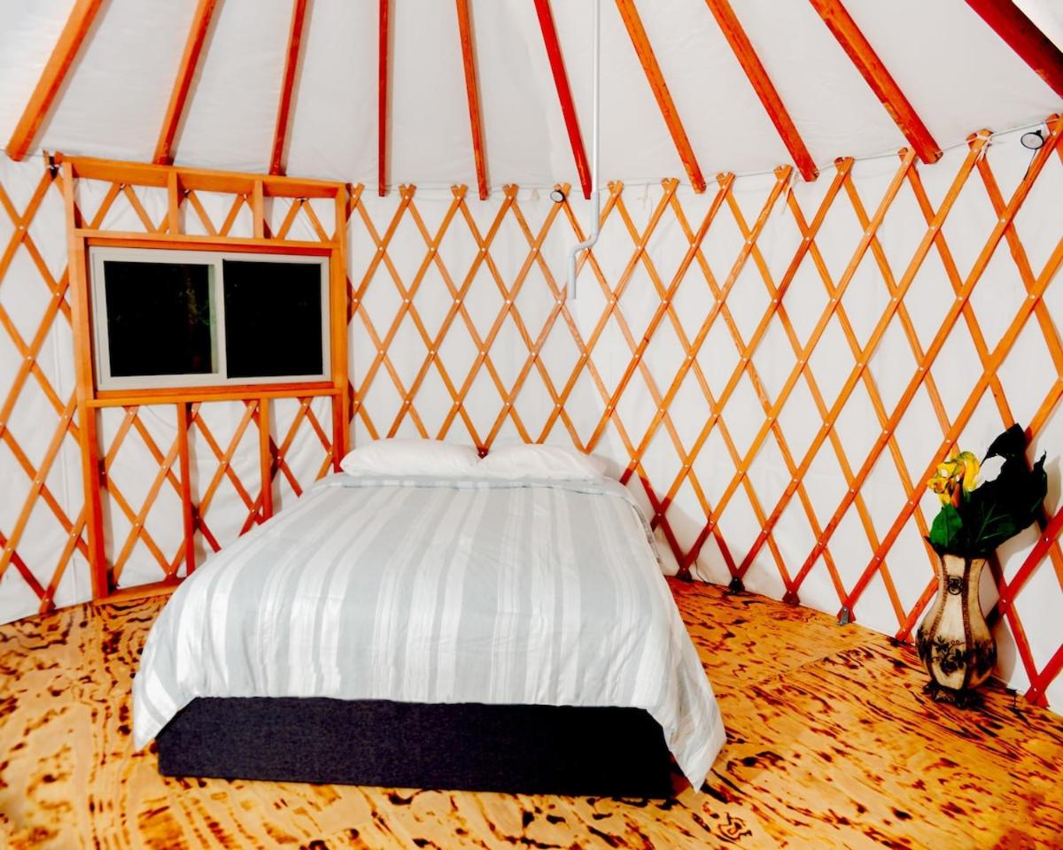 Double Room With Mountain View photo 2