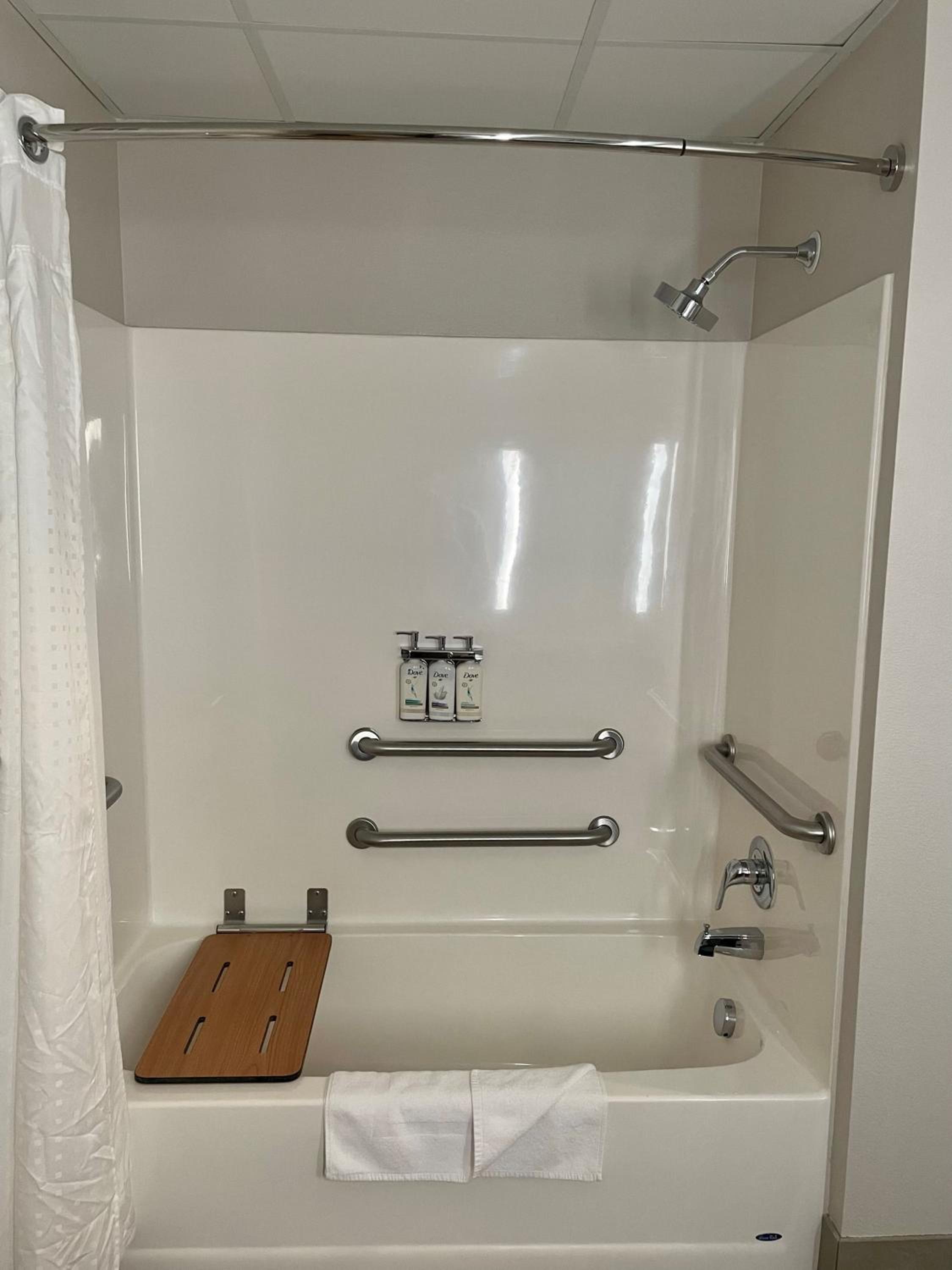 King Suite - Disability Access - Photo 4