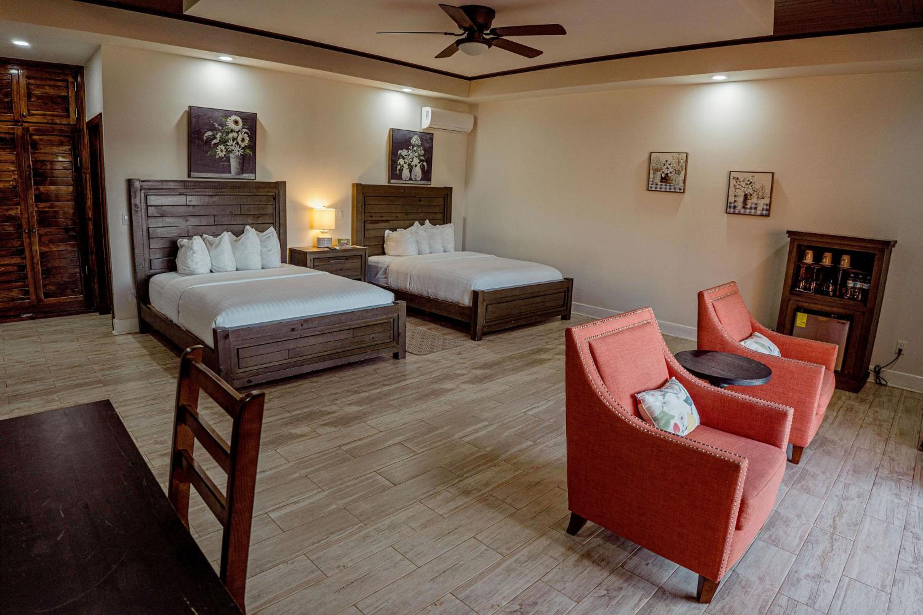 Deluxe Quadruple Room - Photo 5