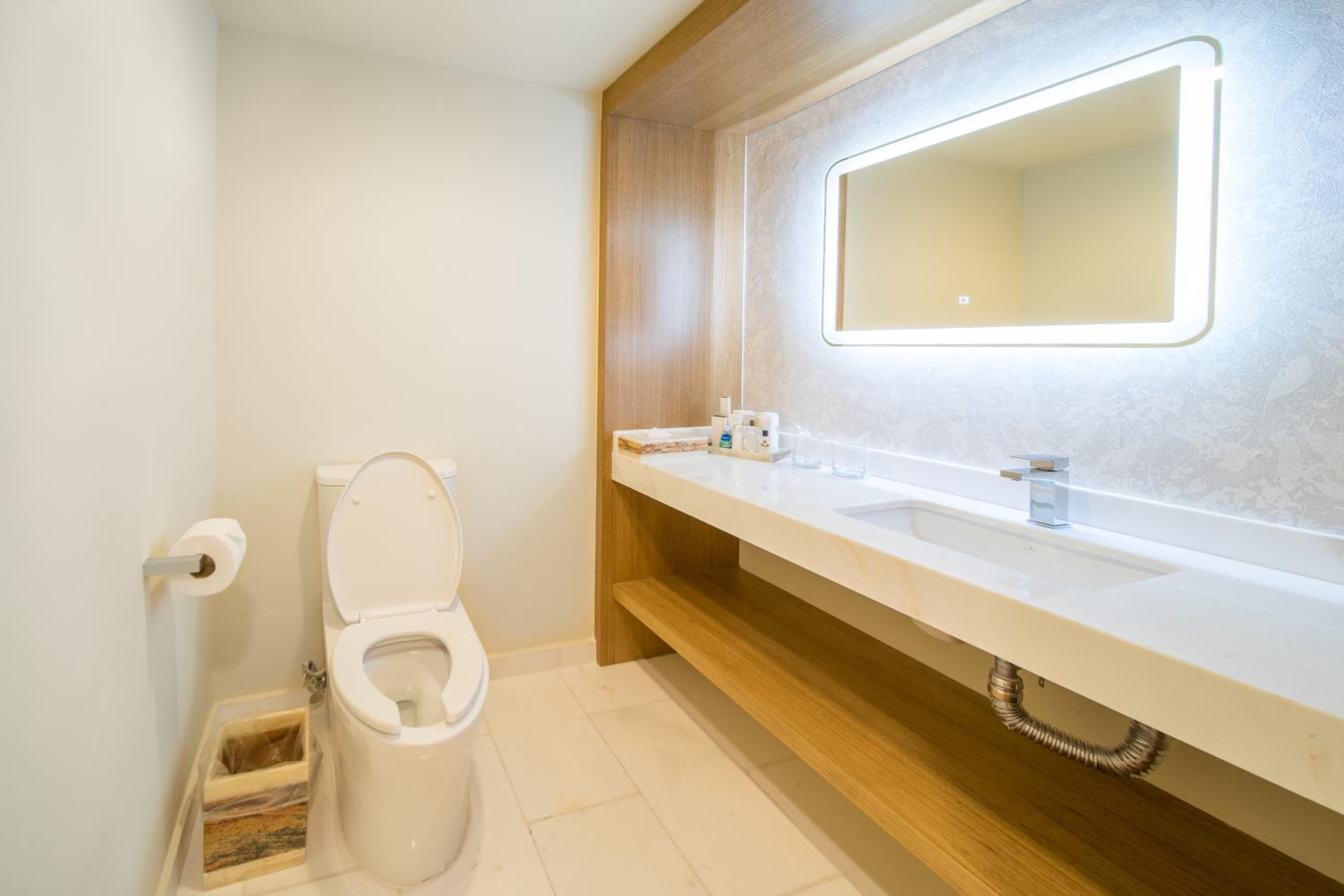 Junior King Suite - Photo 16