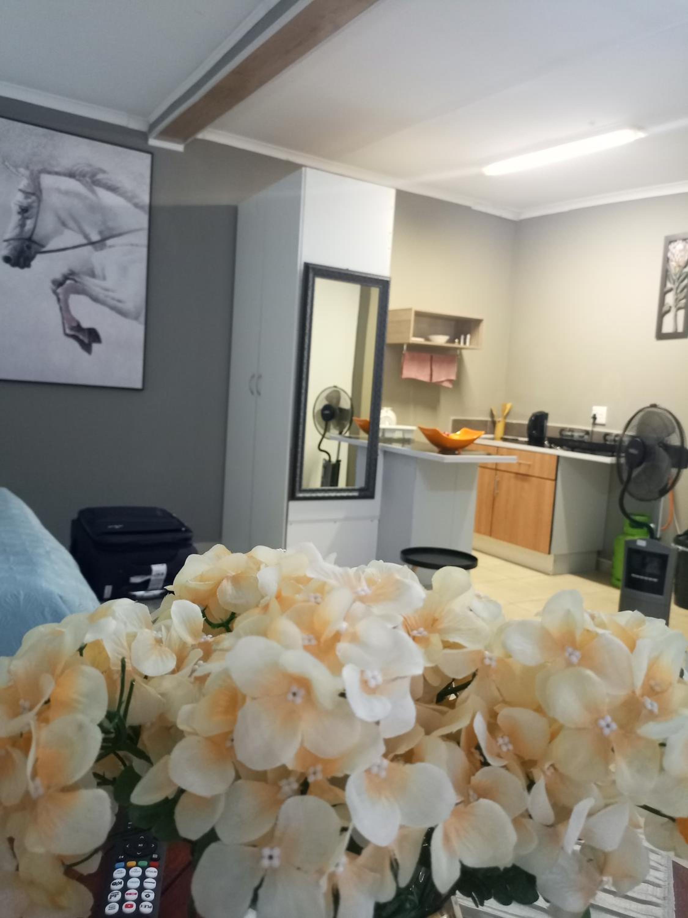 Studio with Garden View - Photo 12
