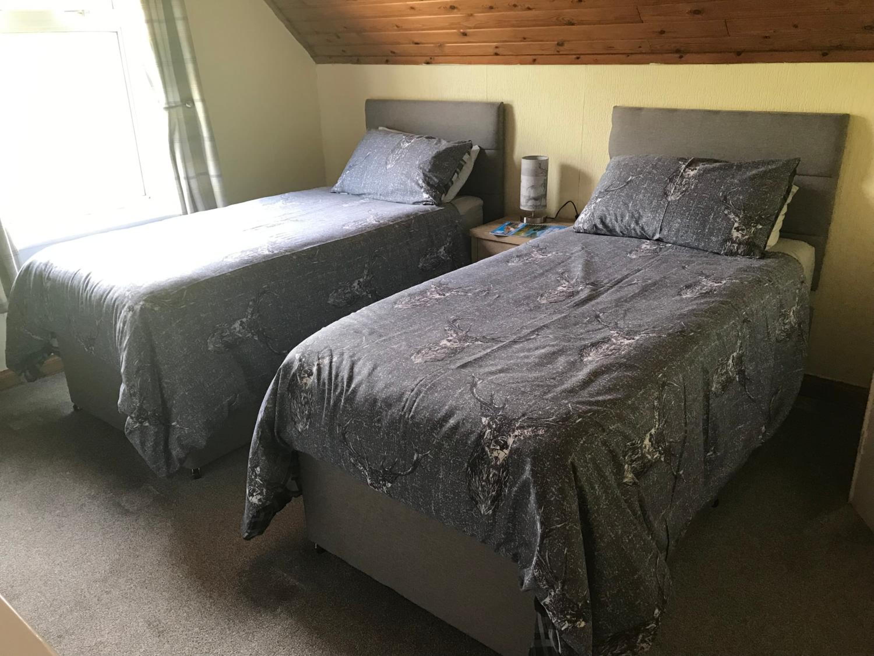 Twin Room photo 2