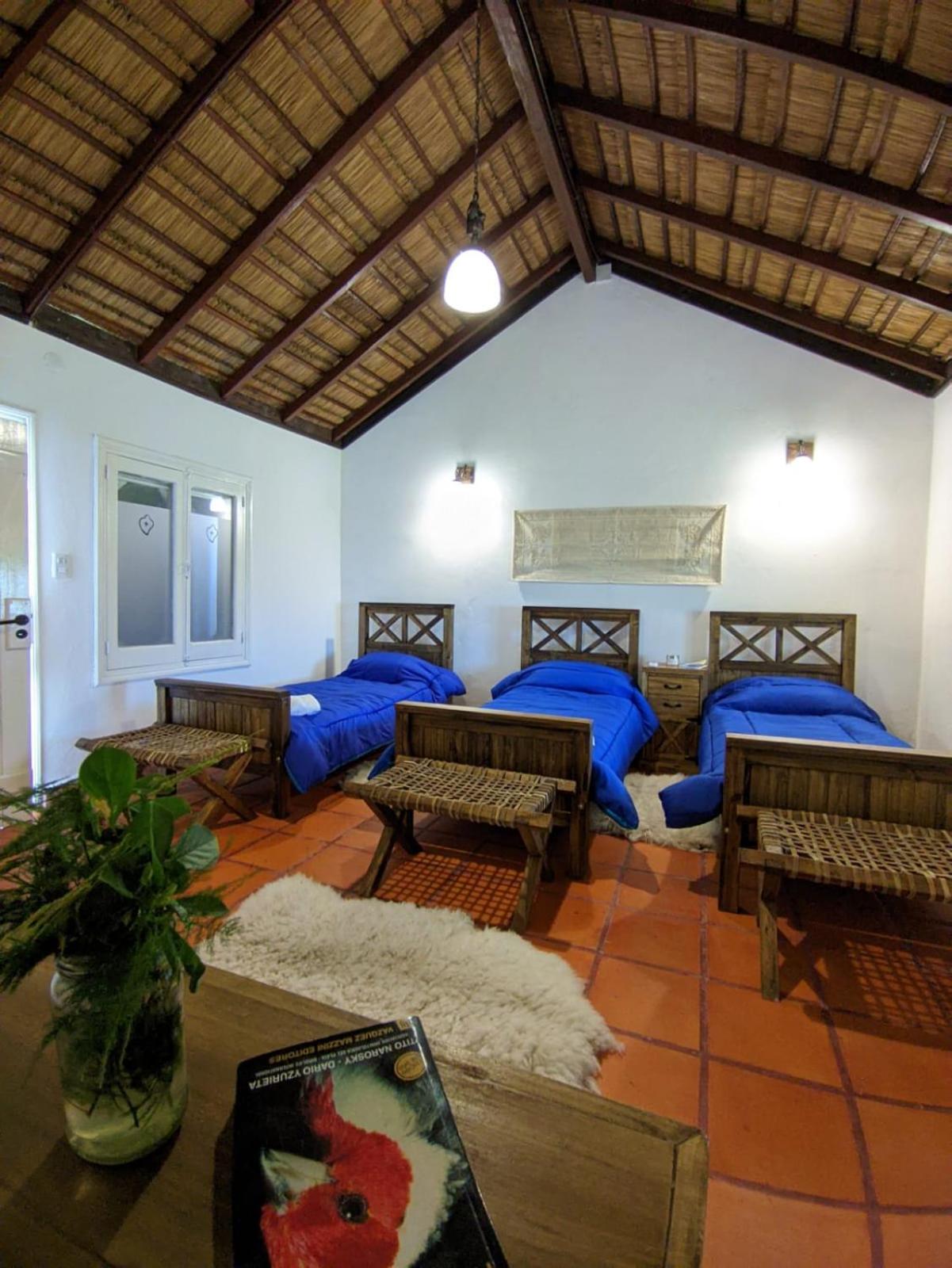 Triple Room photo 2