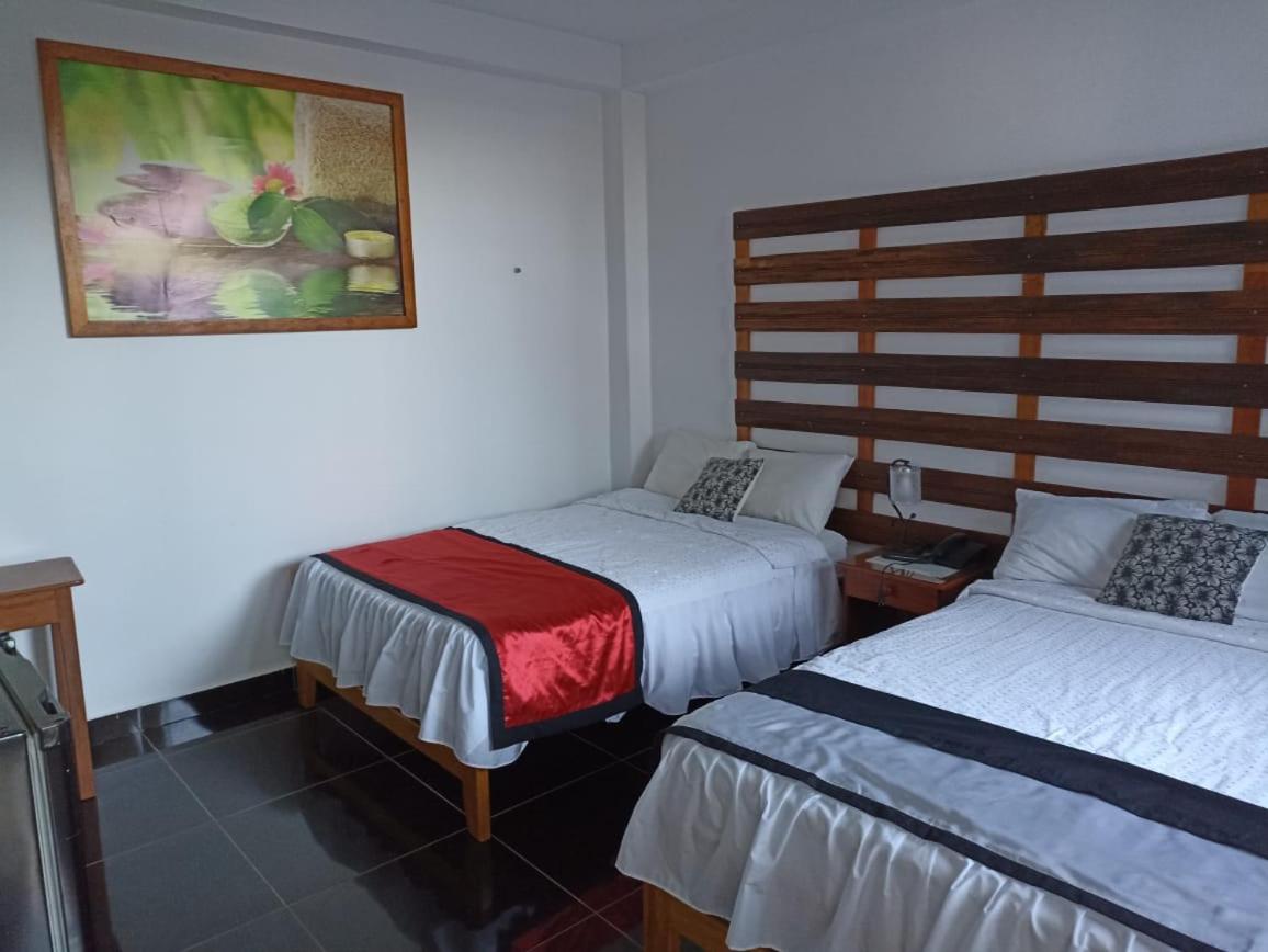 Double Room with Garden View photo 2