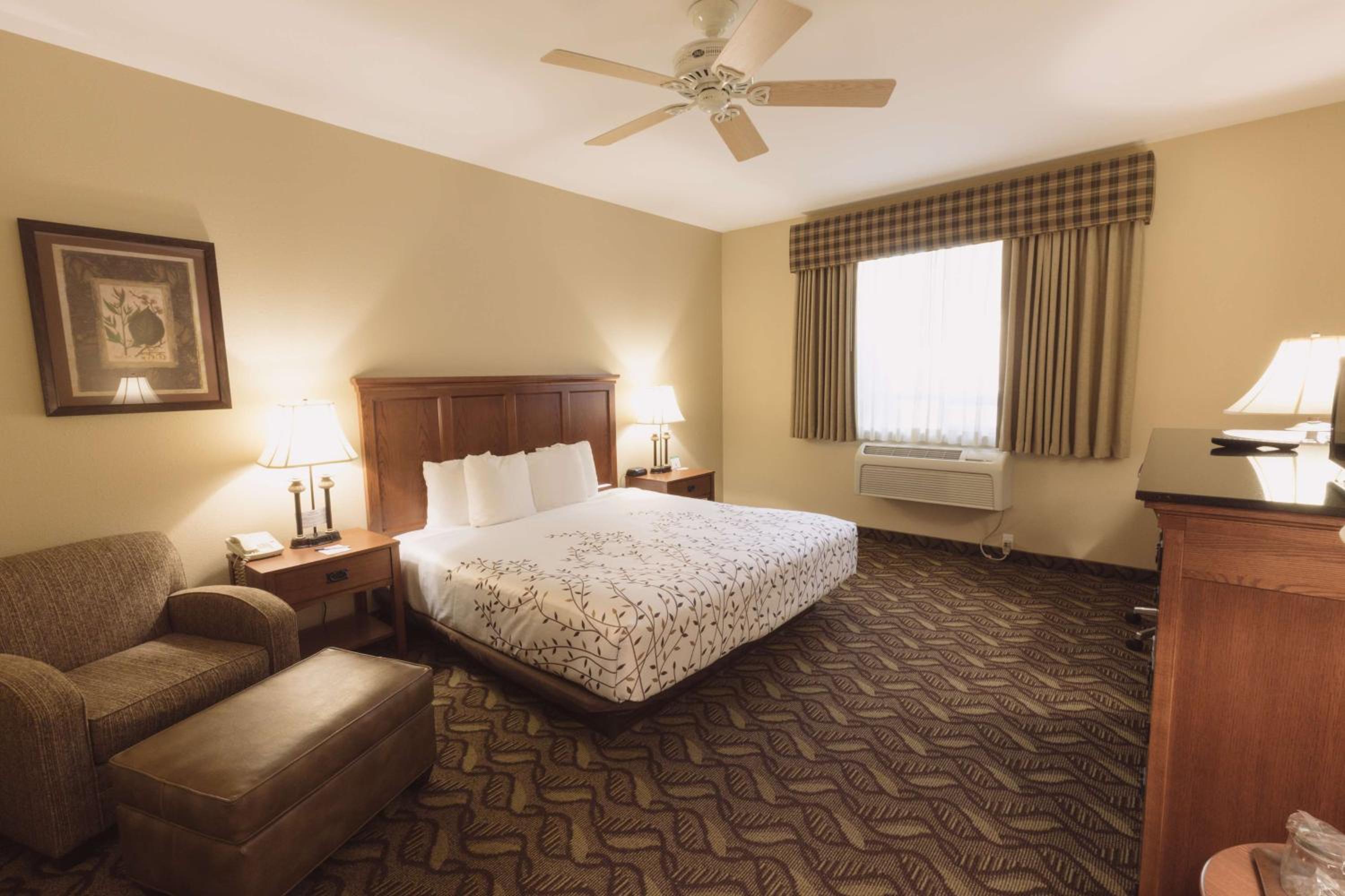 King Room photo 1