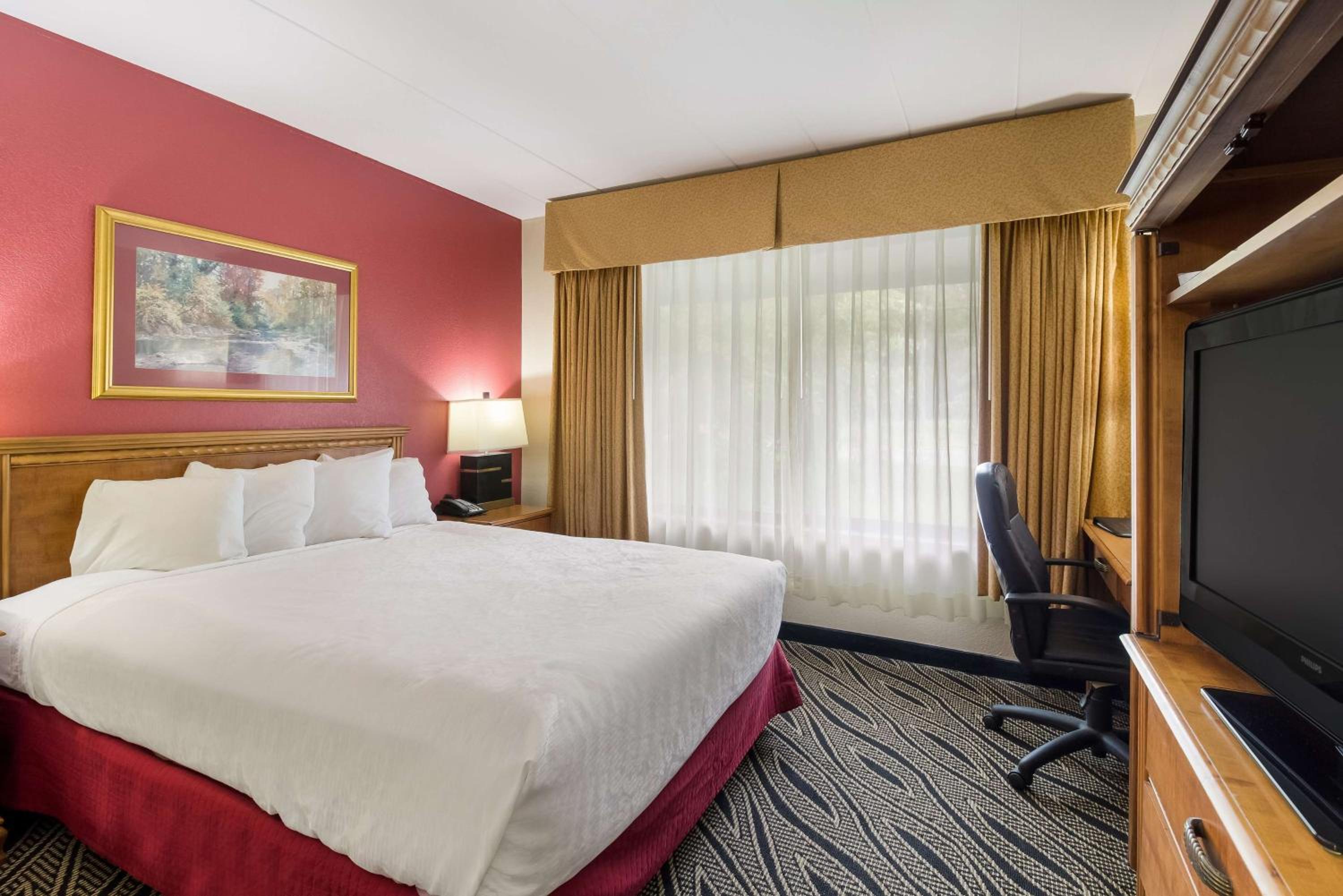 Queen Suite with Pool View - Non-Smoking photo 3