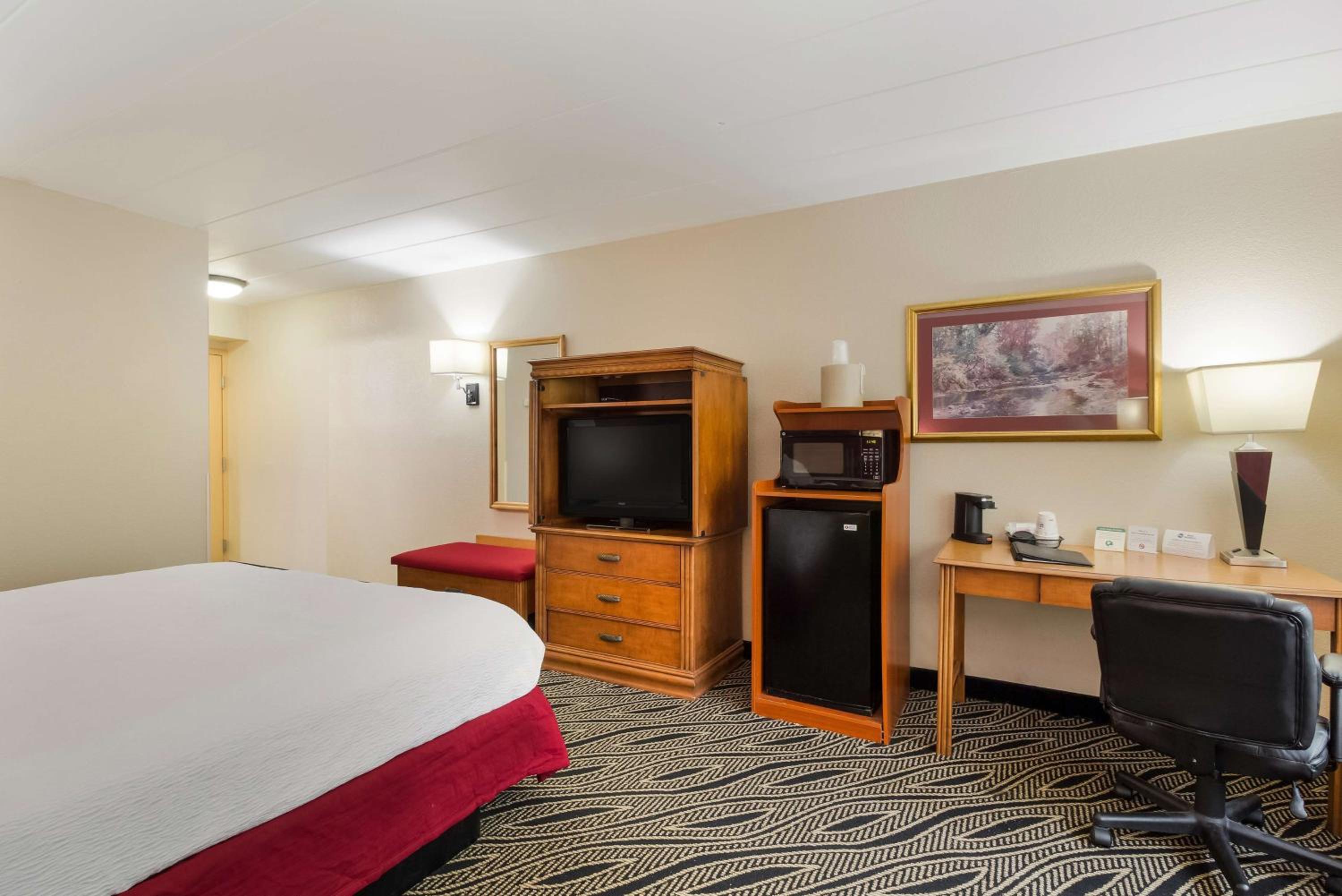 King Room - Non-Smoking photo 1