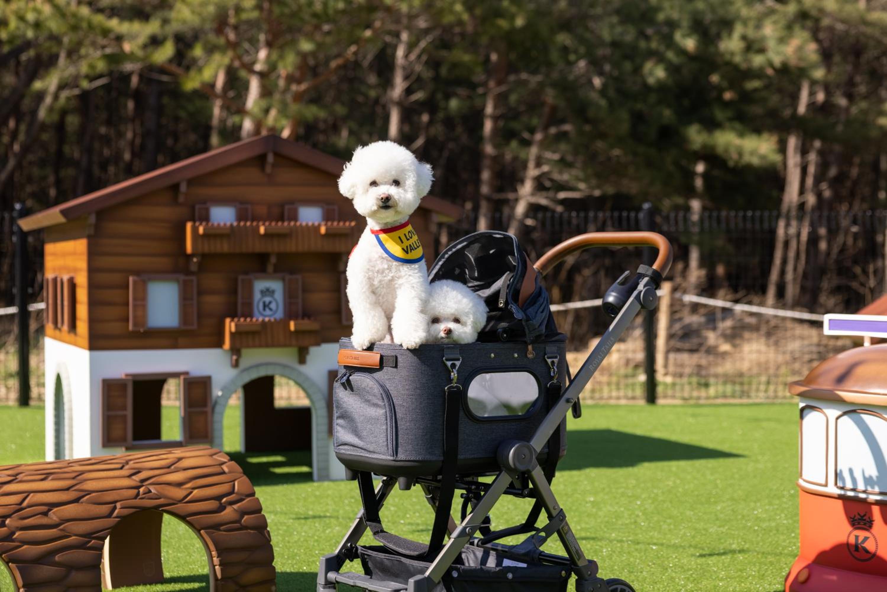 [ilove Pet PKG] Royal Suite Pet Bern 32PY with Garden View (Breakfast Box for 2 + Pet Towel + Pet Park + 2 Welcome Drink) - Photo 3