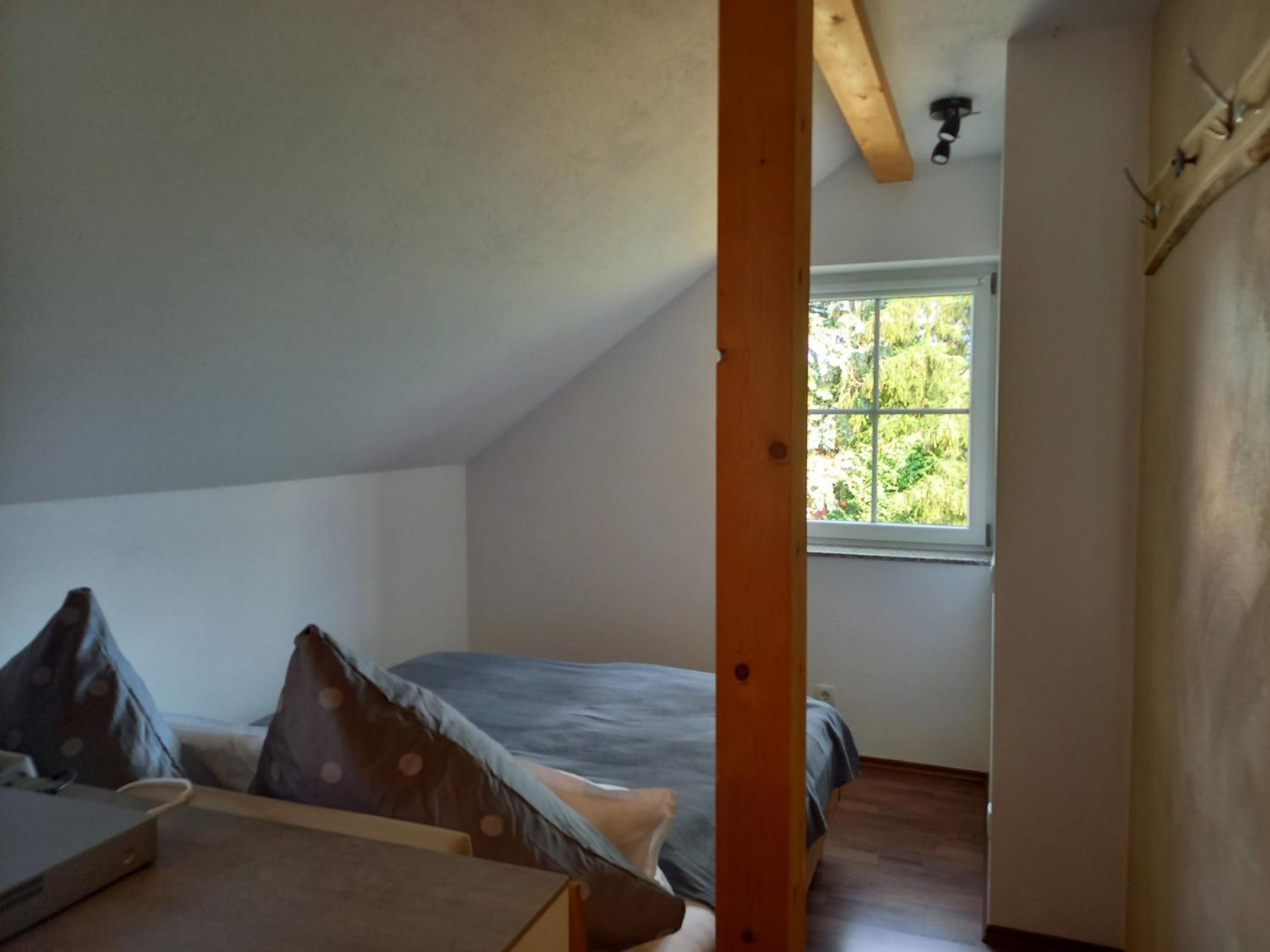 Apartment with Terrace photo 2