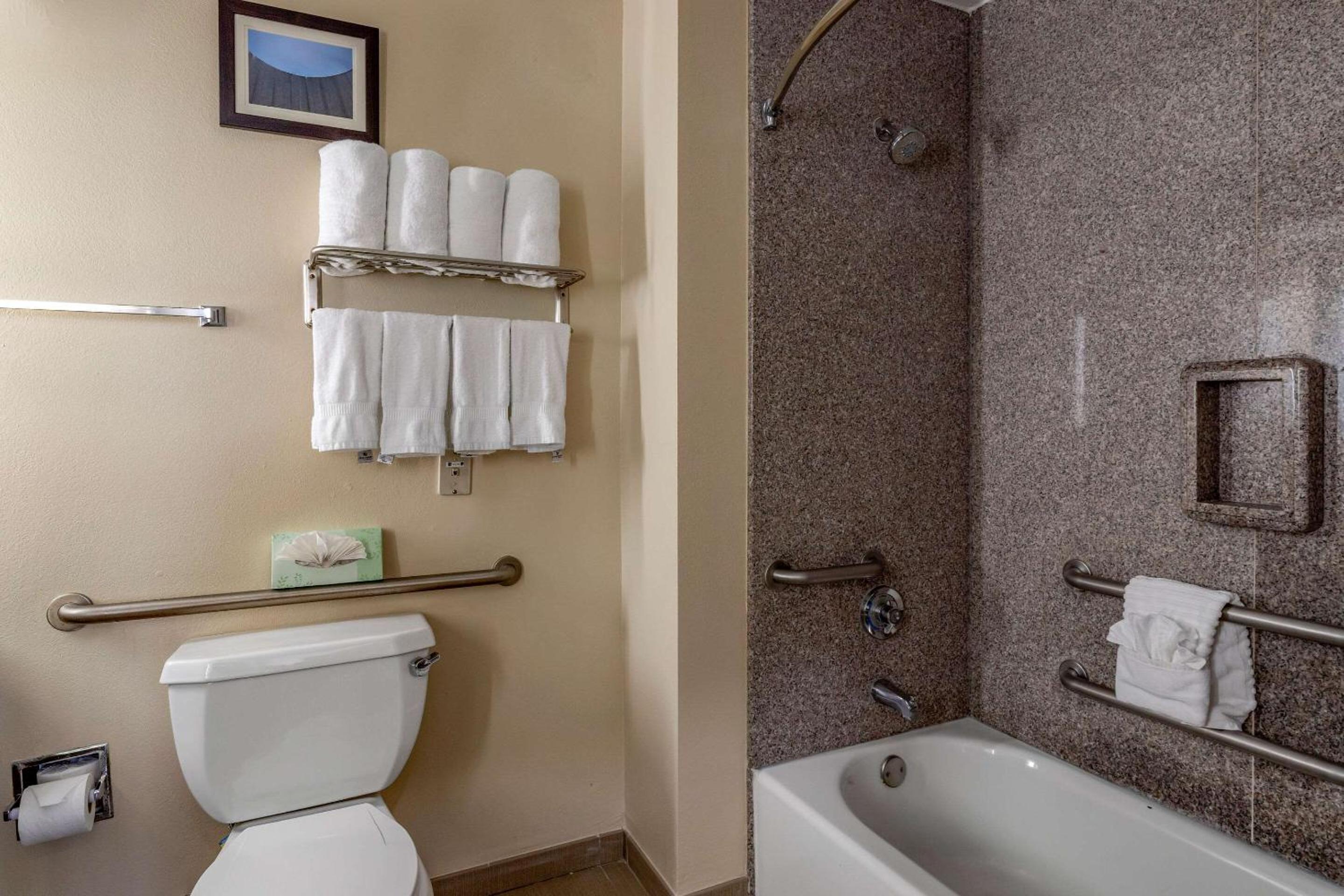 King Suite - Non-Smoking - Photo 4