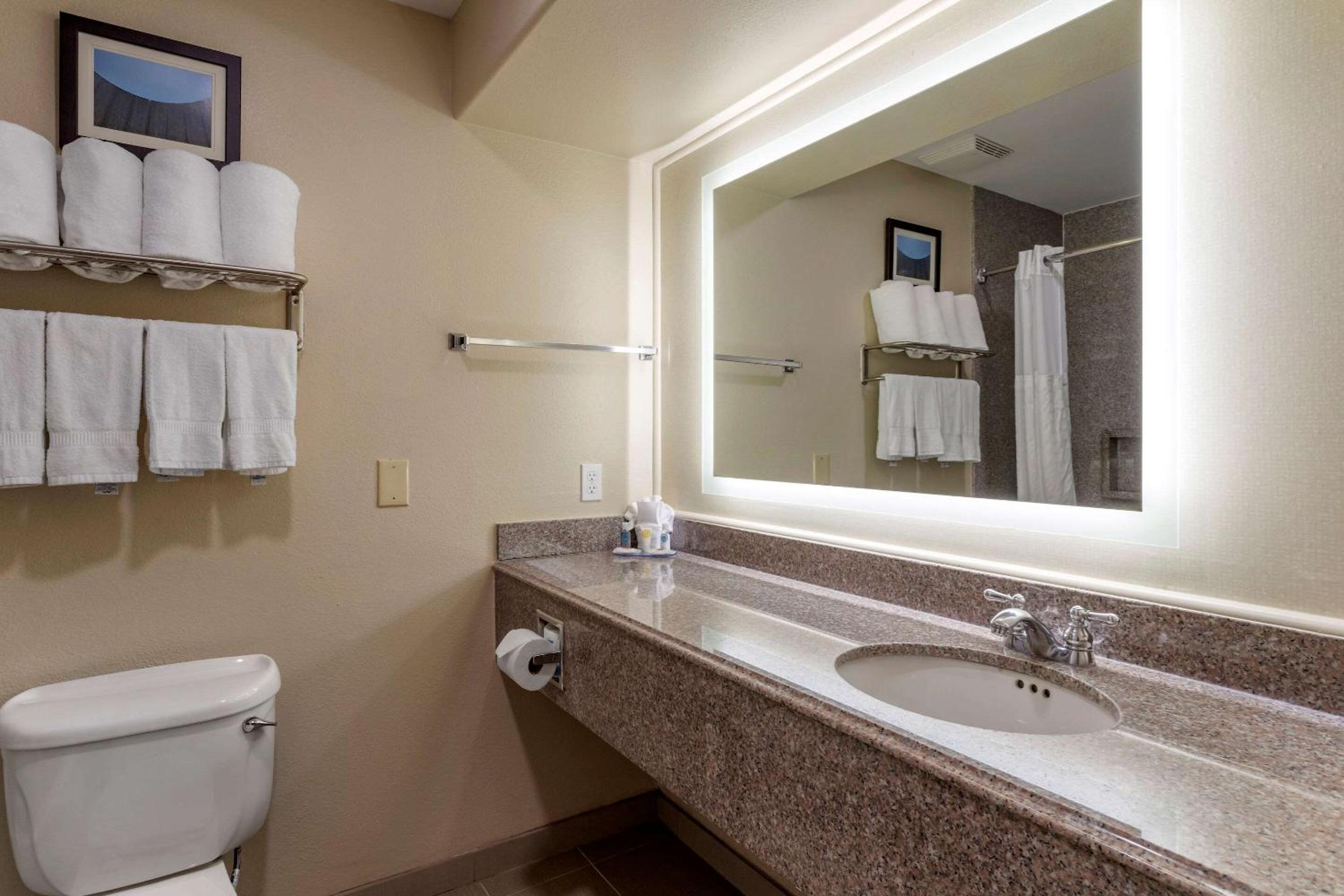 King Suite - Accessible/Non-Smoking - Photo 4