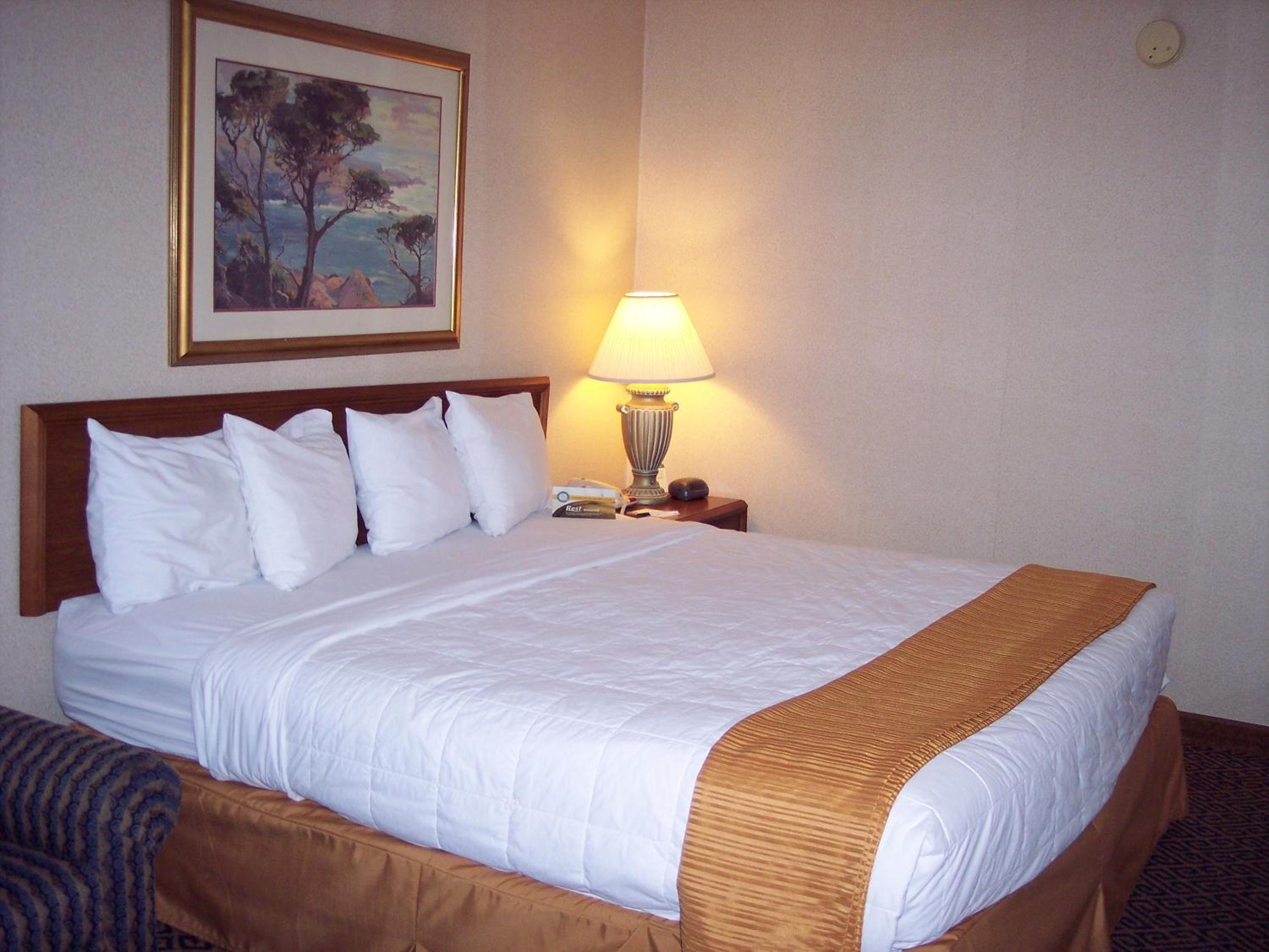 King Room - Photo 2