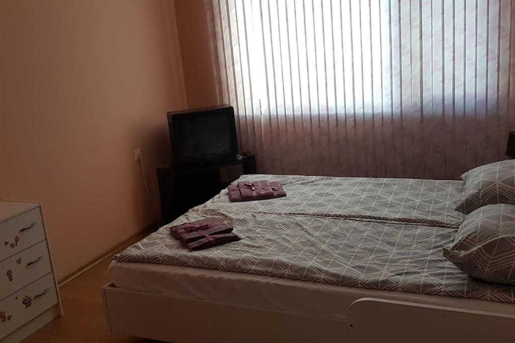 One-Bedroom Apartment - Photo 19