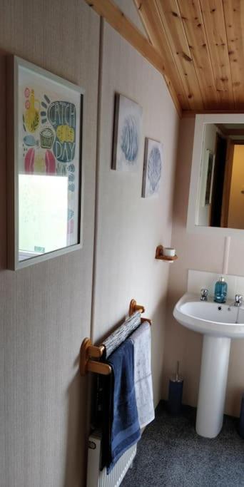 Mobile Home photo 2