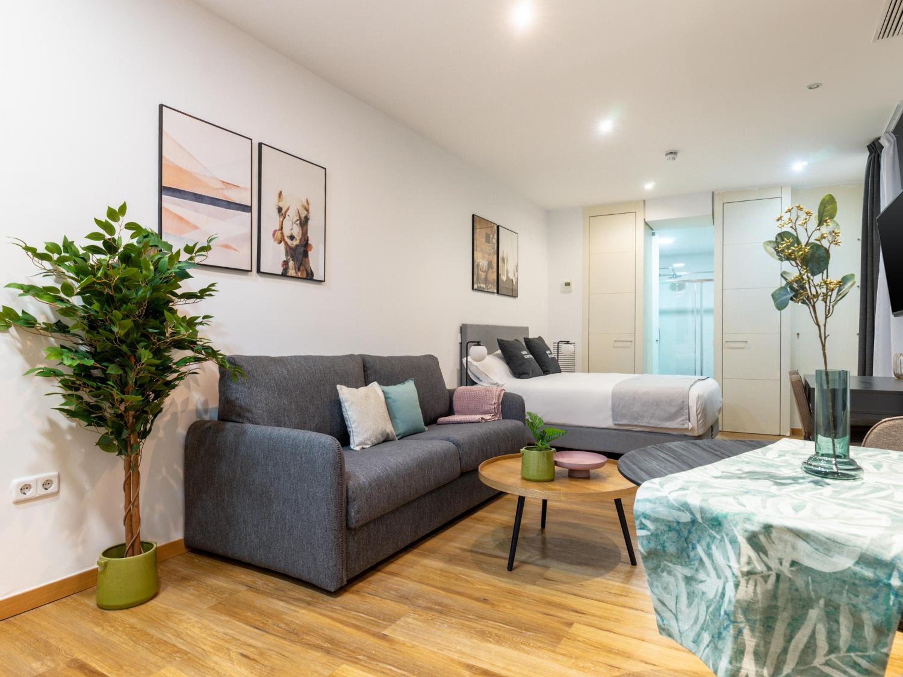 Studio Apartment - Ground Floor thumbnail 6