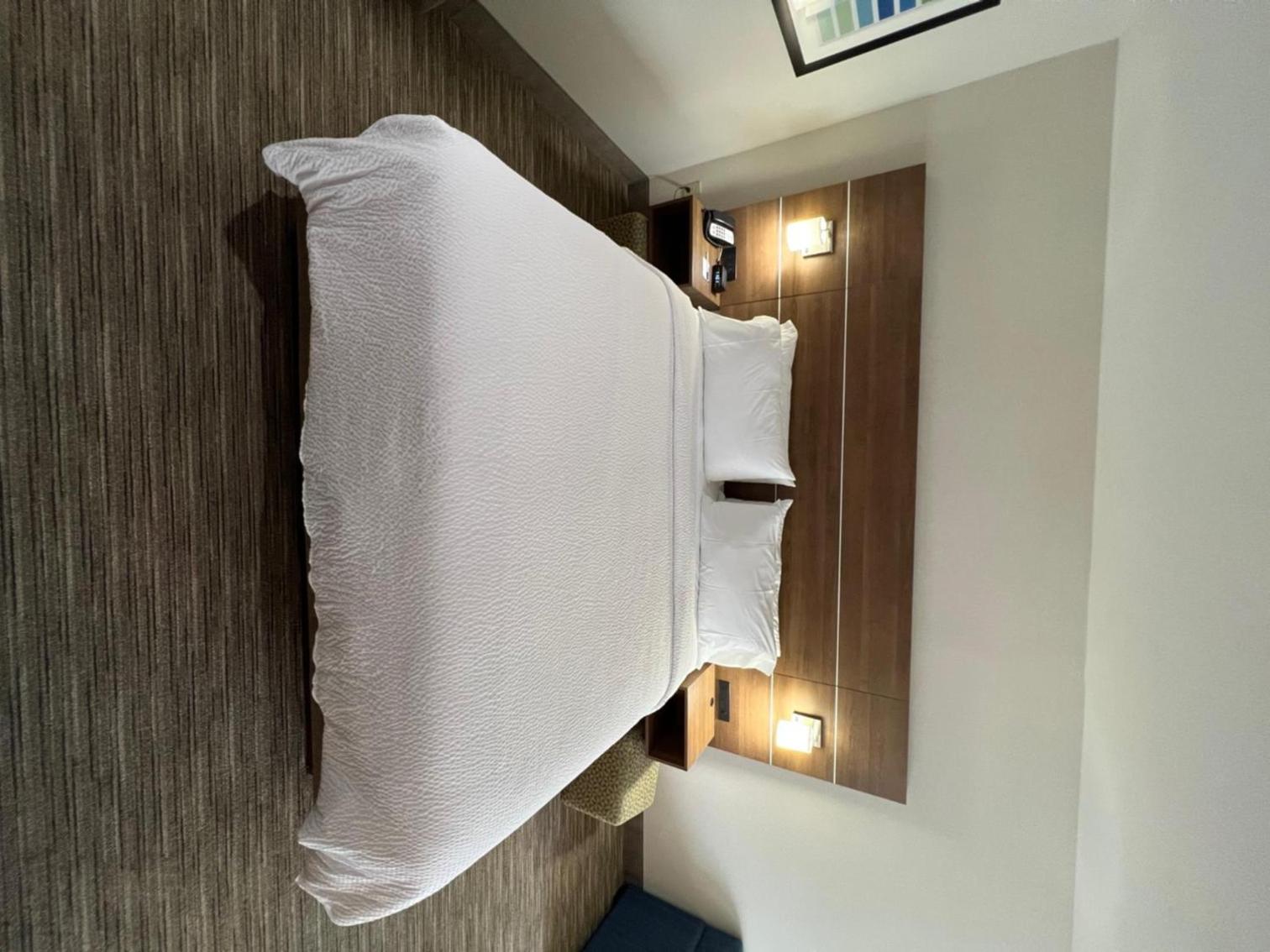 Suite - Mobility Access/Hearing Accessible - Photo 10