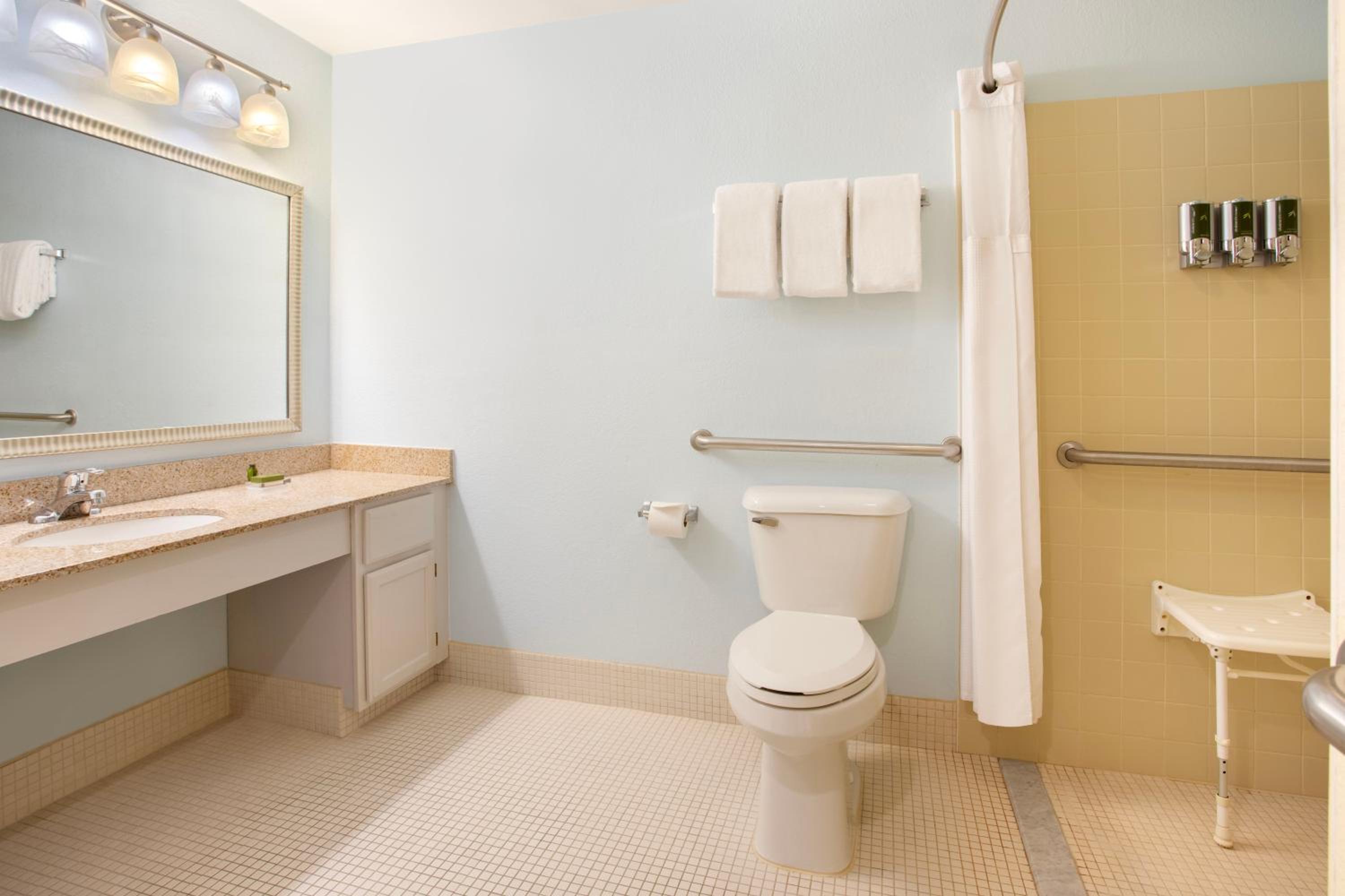 Studio Suite Queen Fireplace Mobility Accessible Shower - Photo 4