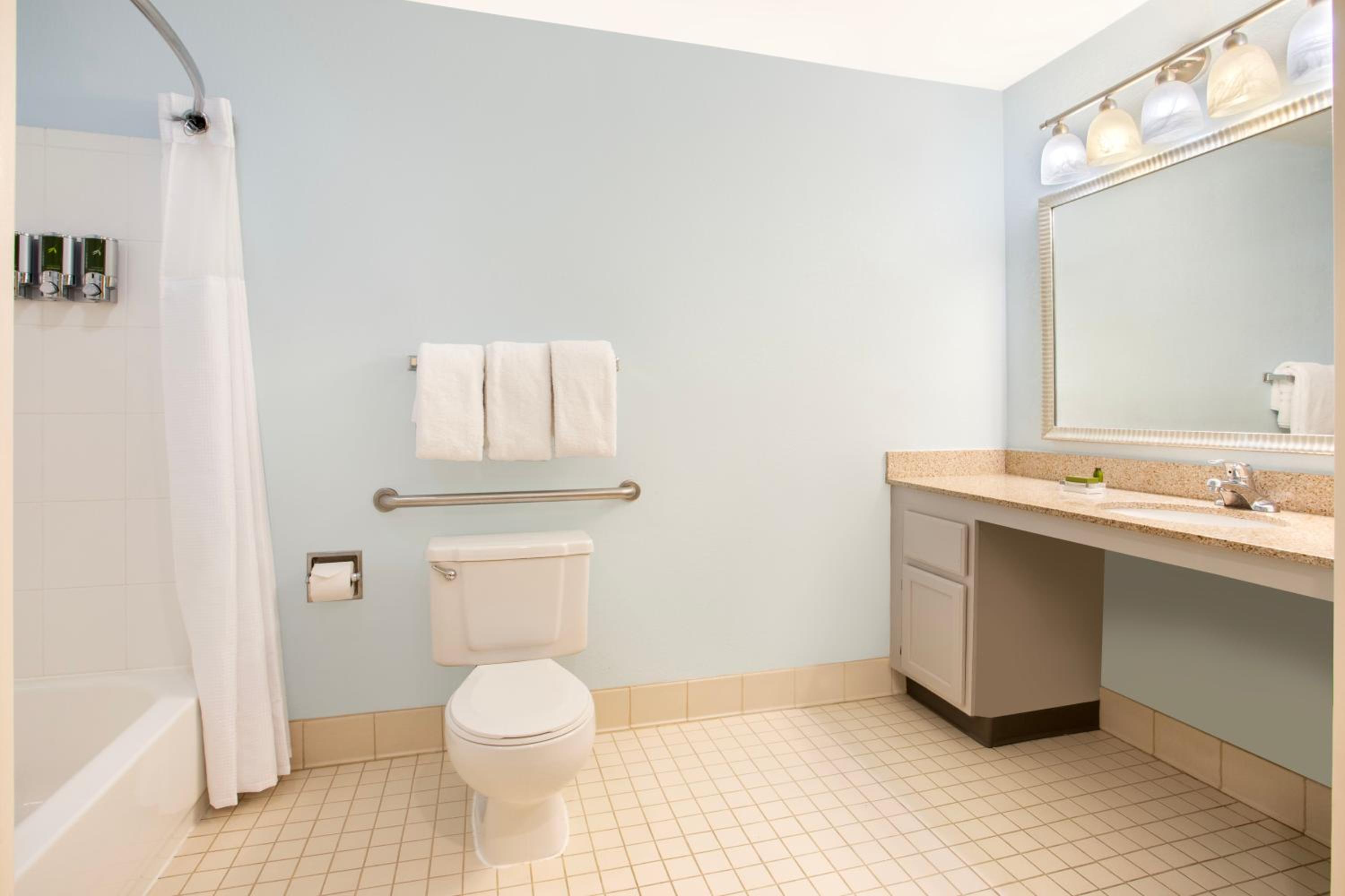Studio Suite Queen Fireplace Mobility Accessible Tub - Photo 4