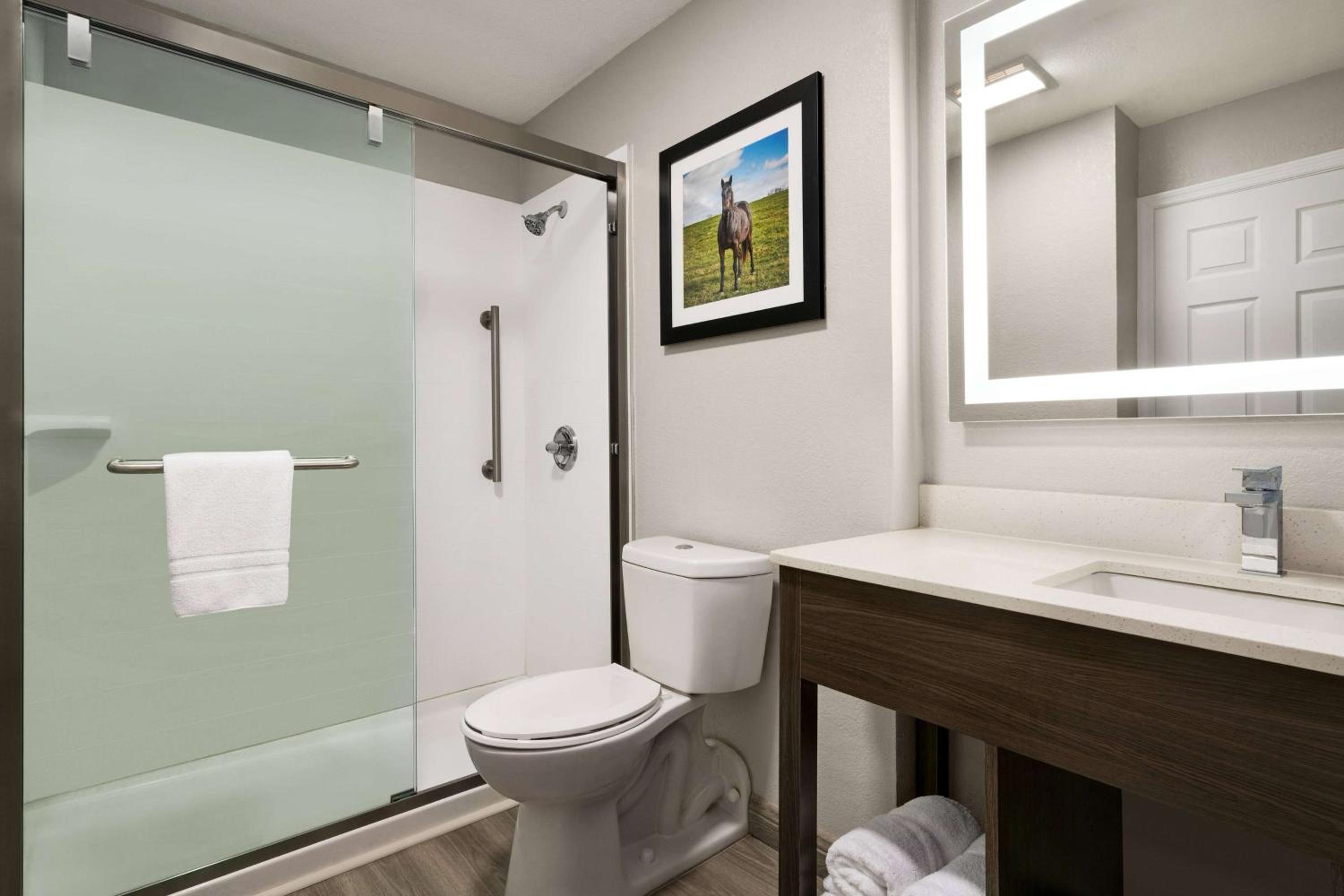 One-Bedroom King Suite - Non-Smoking - Photo 12