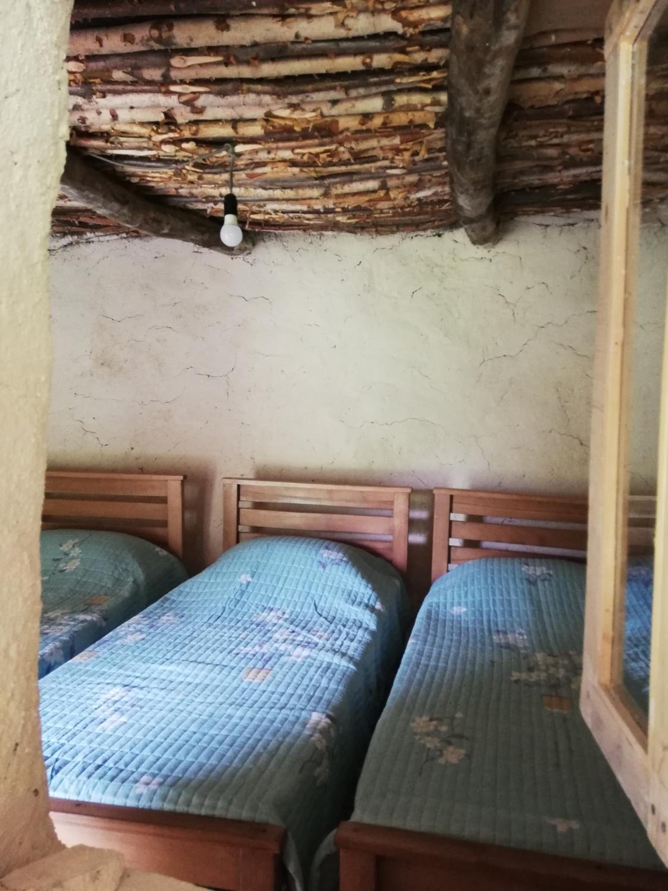 Twin Room photo 1