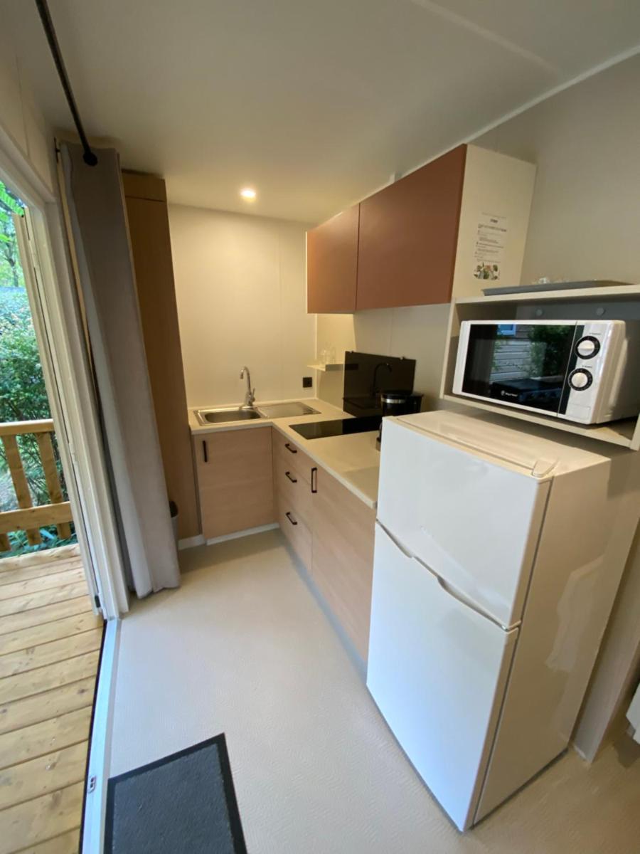 Mobile Home photo 2