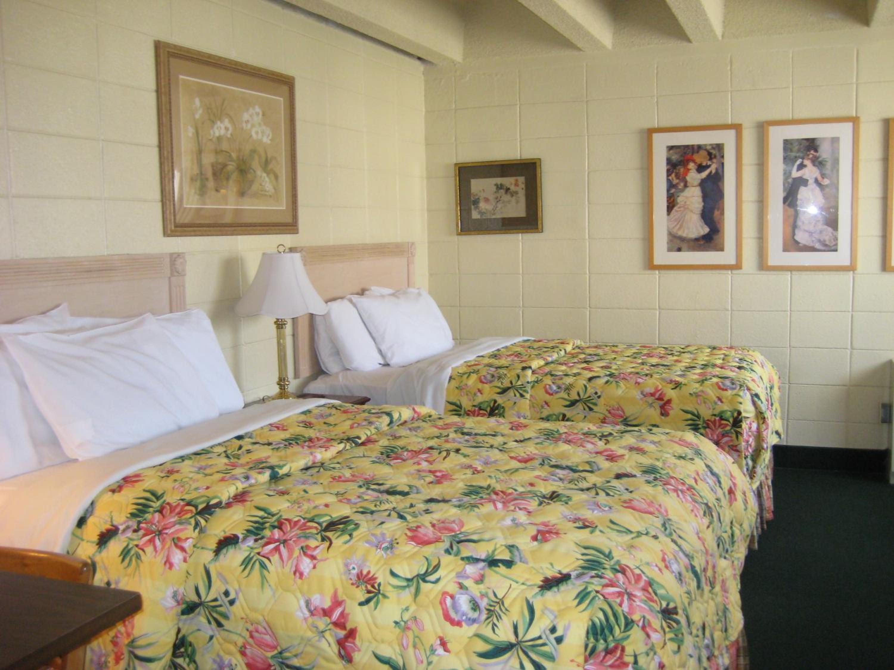 Kitchenette with 2 Double Beds photo 1