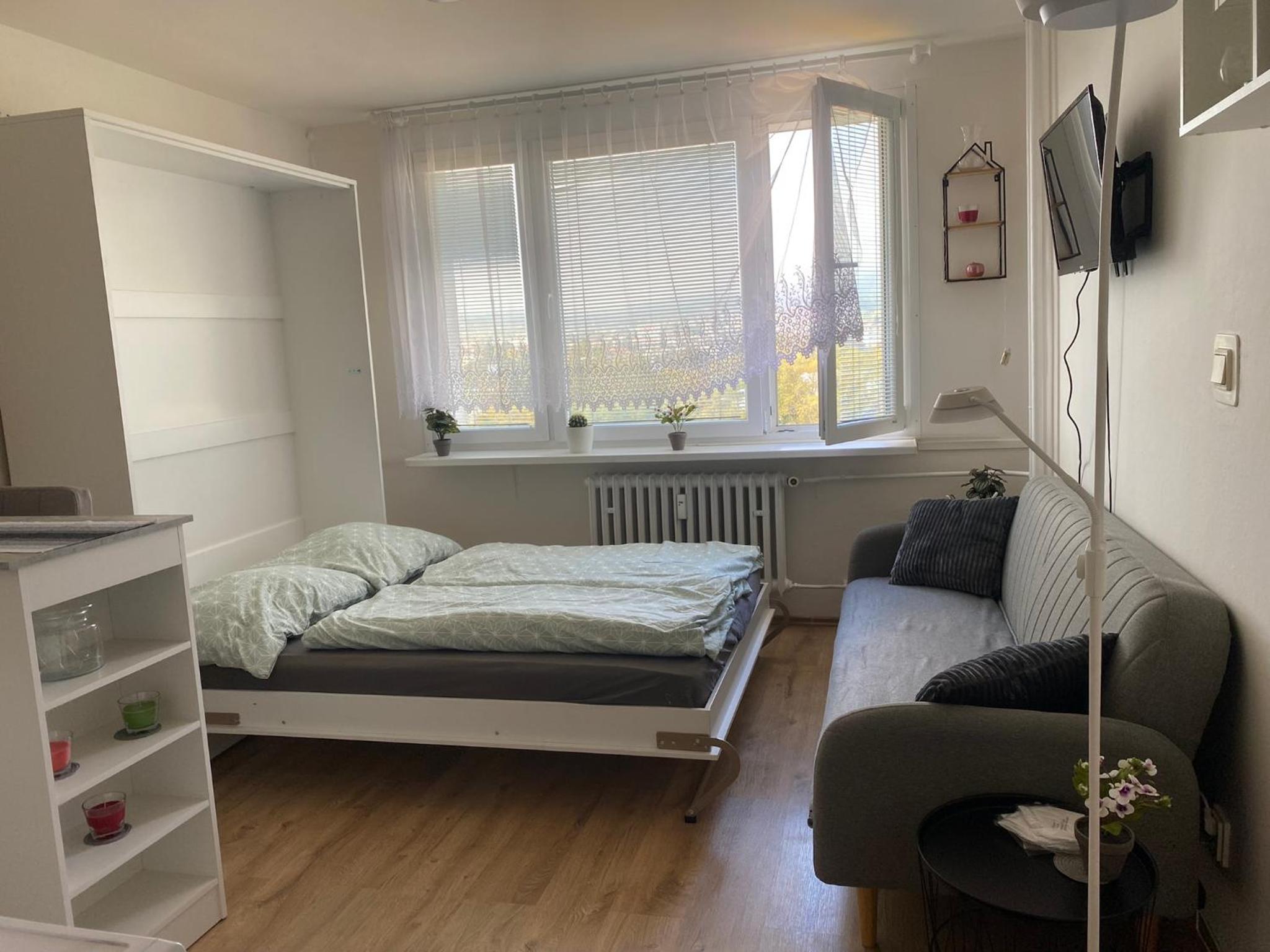 One-Bedroom Apartment photo 1