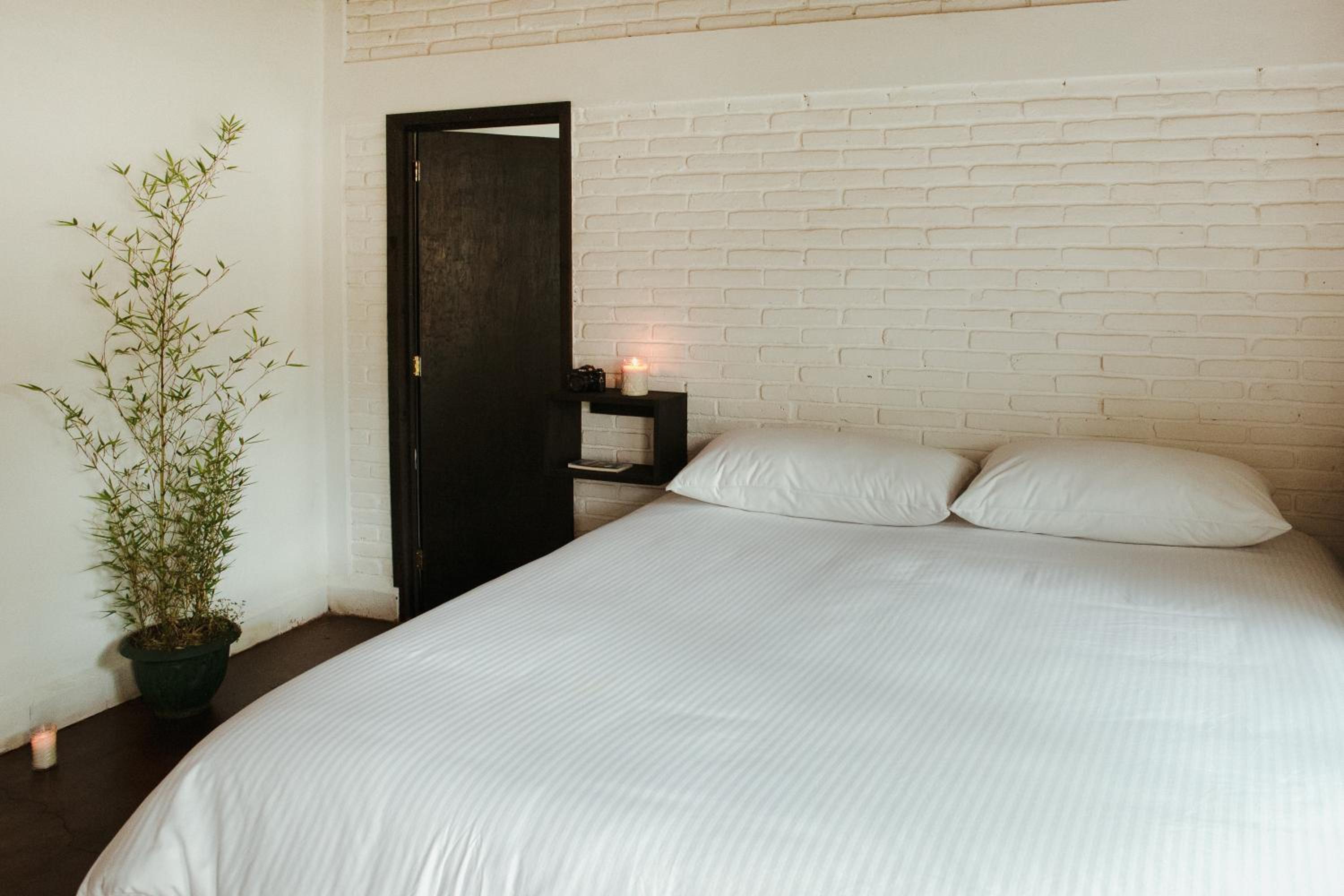 Double Room with Garden View photo 1