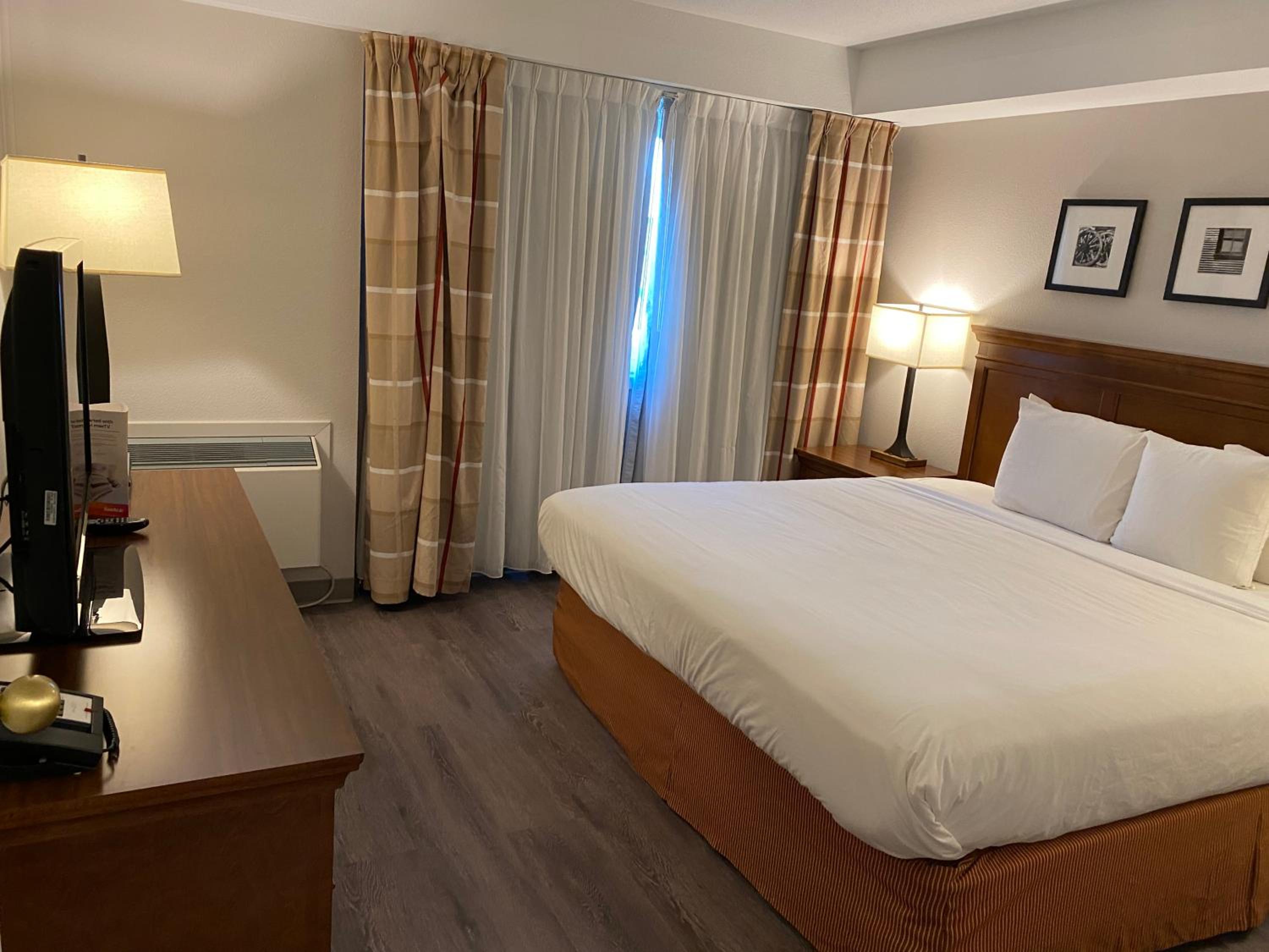 King Room - Non-Smoking - Photo 4