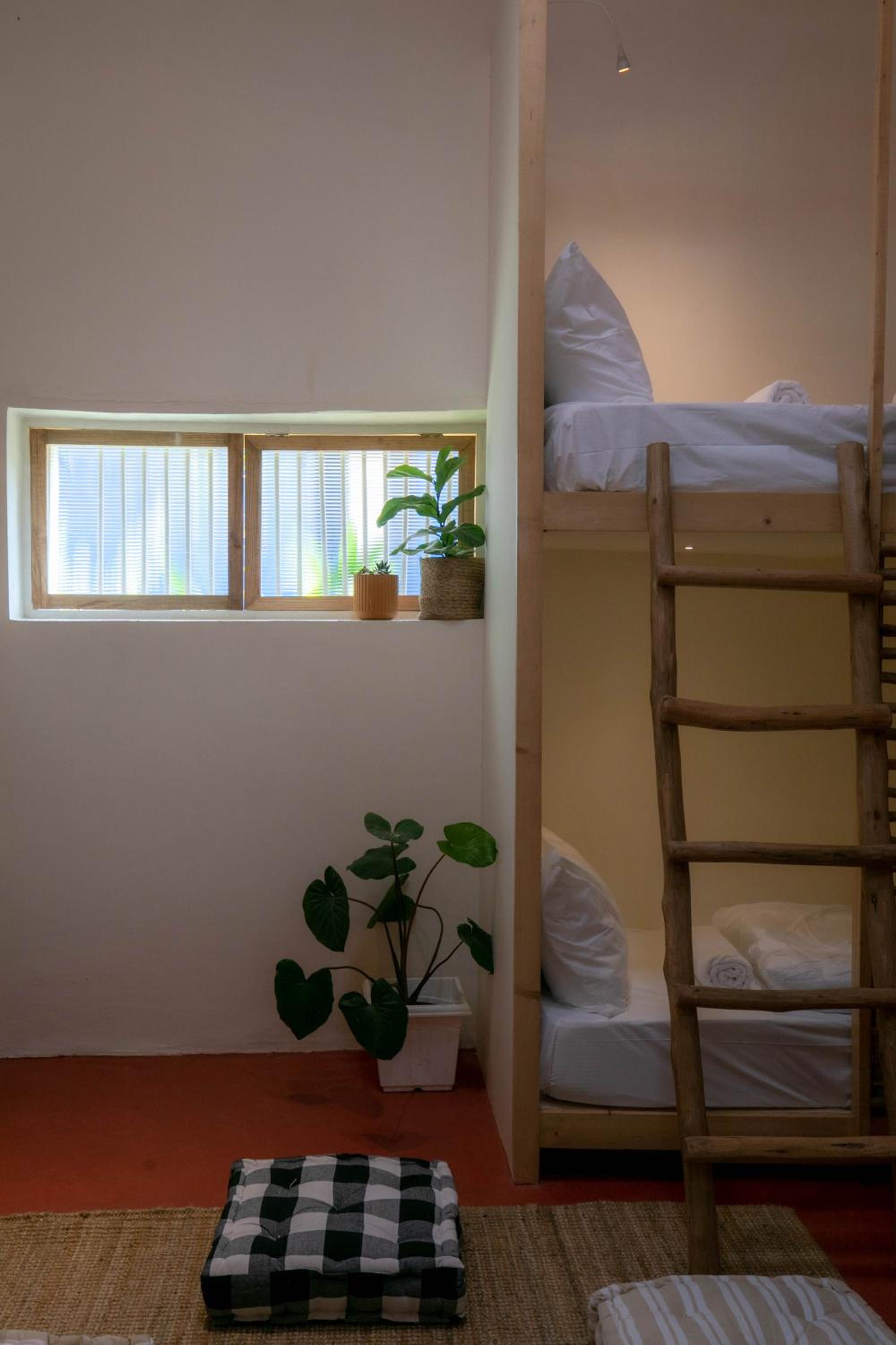 Bed in 6-Bed Mixed Dormitory Room photo 2