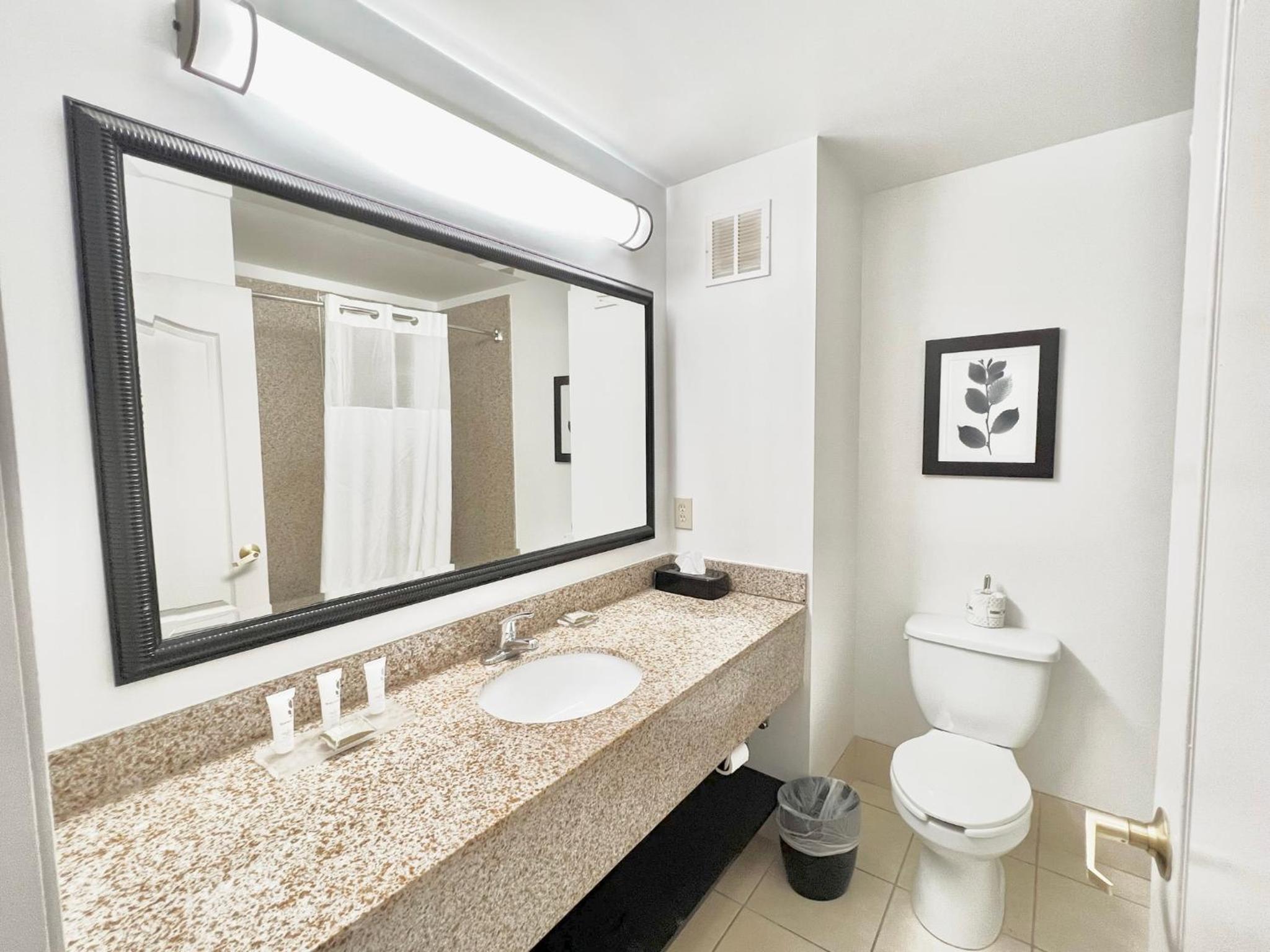 King Room with Accessible Roll in Shower - Non-Smoking - Photo 2