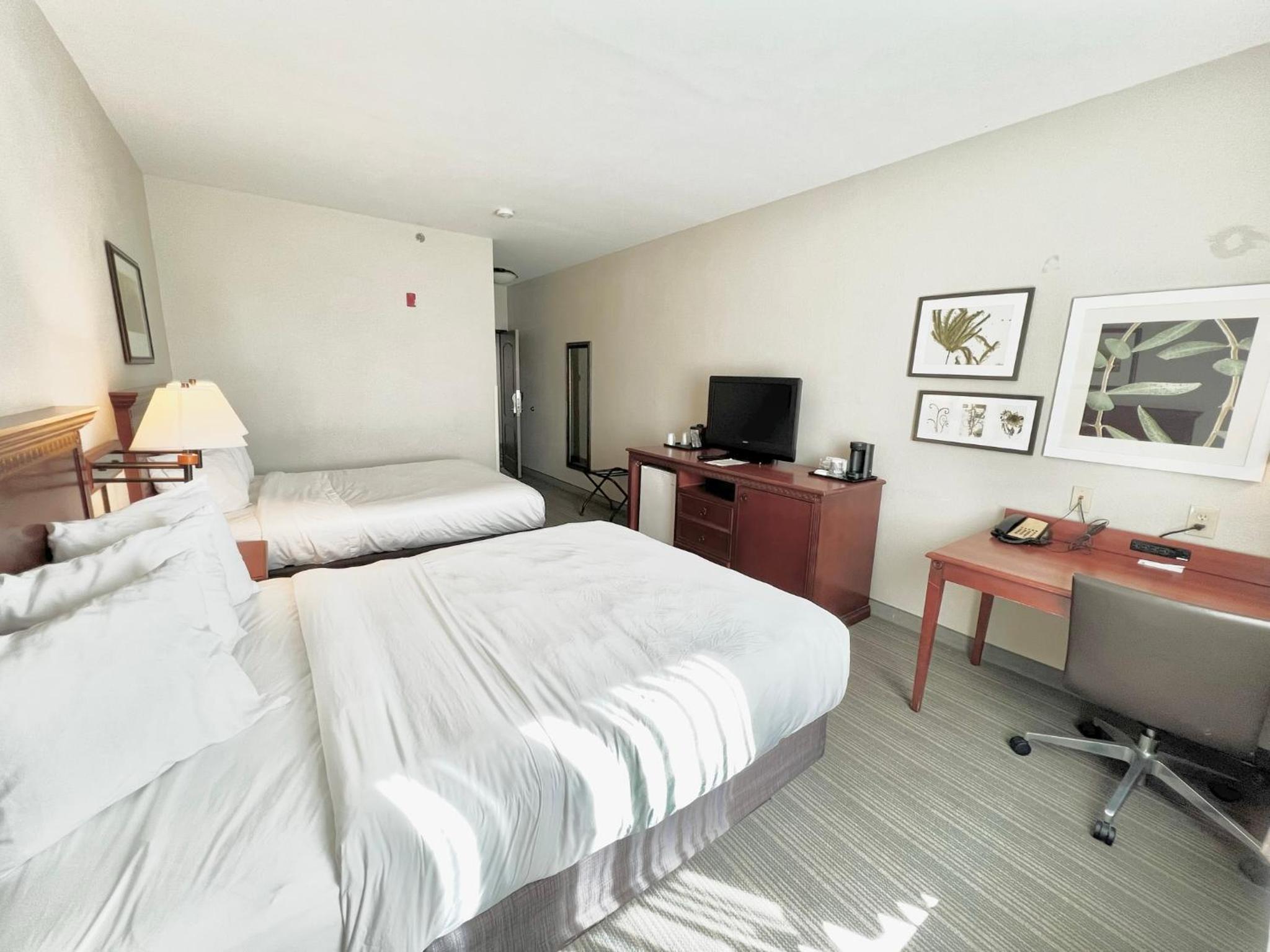 Queen Room with Two Queen Beds with Wheelchair Access  - Non-Smoking - Photo 1
