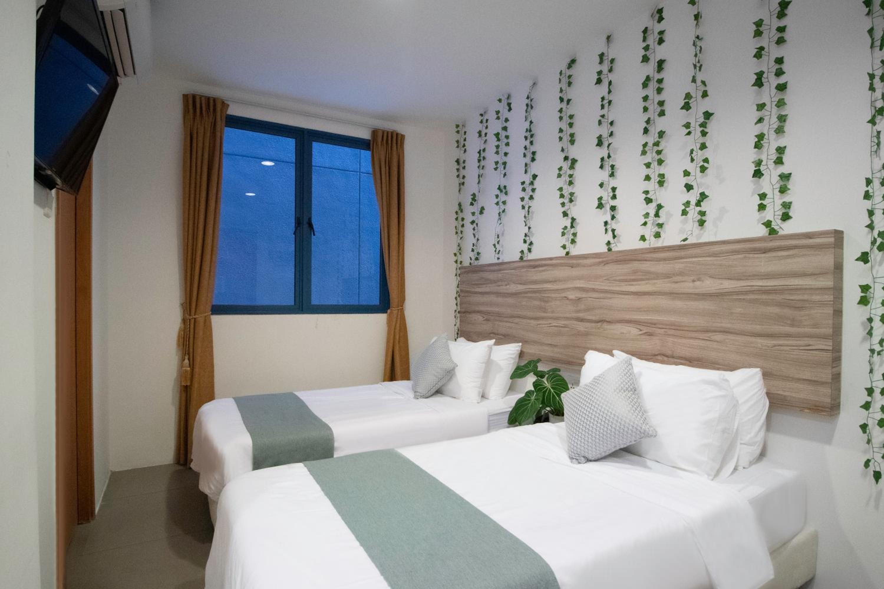 Deluxe Twin Room photo 2