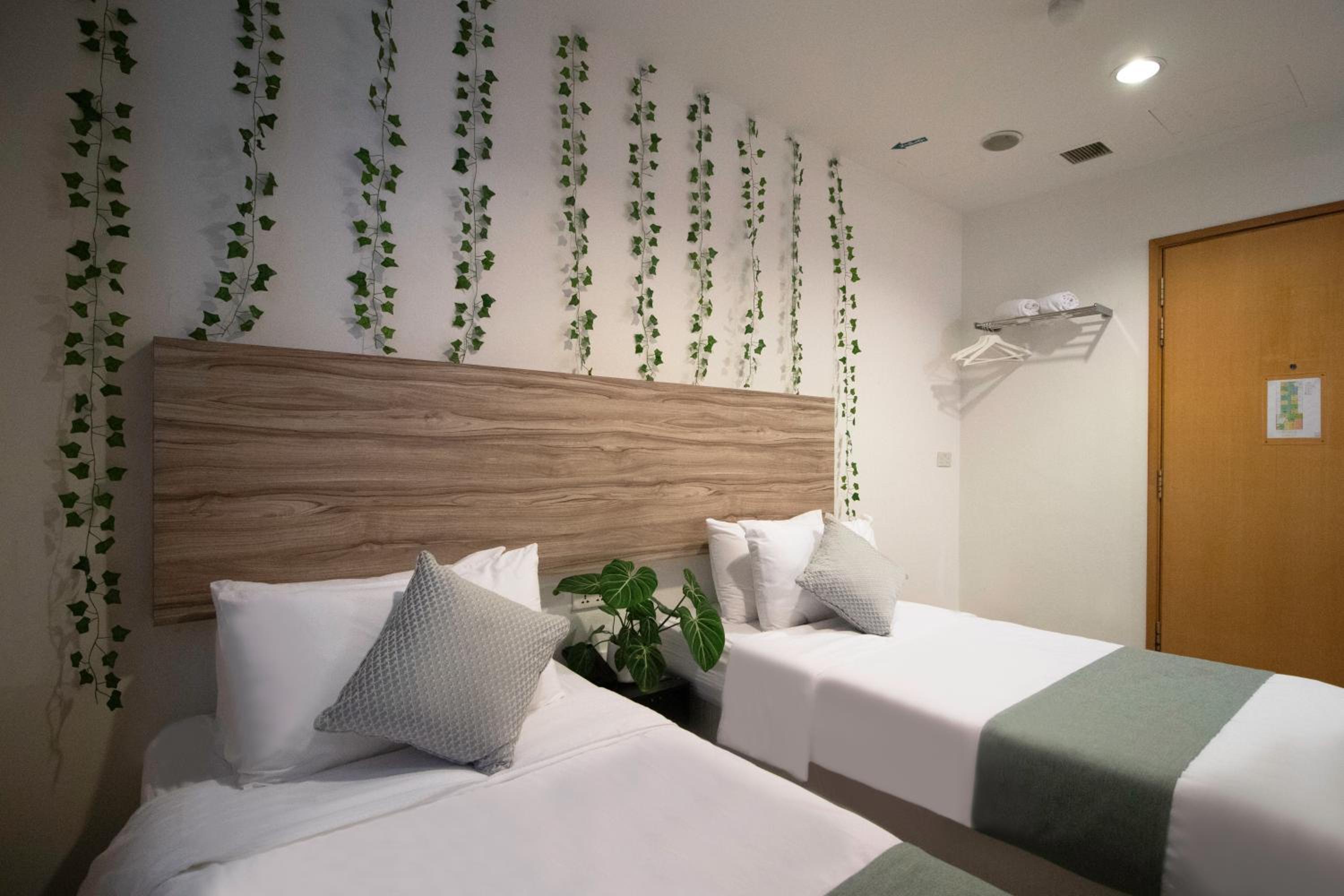 Deluxe Twin Room photo 3