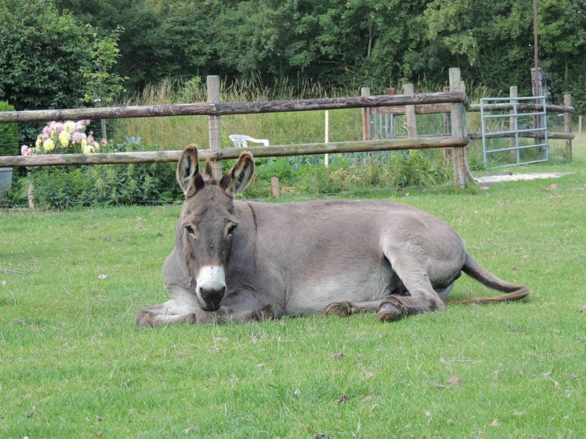 Holiday Home photo 3