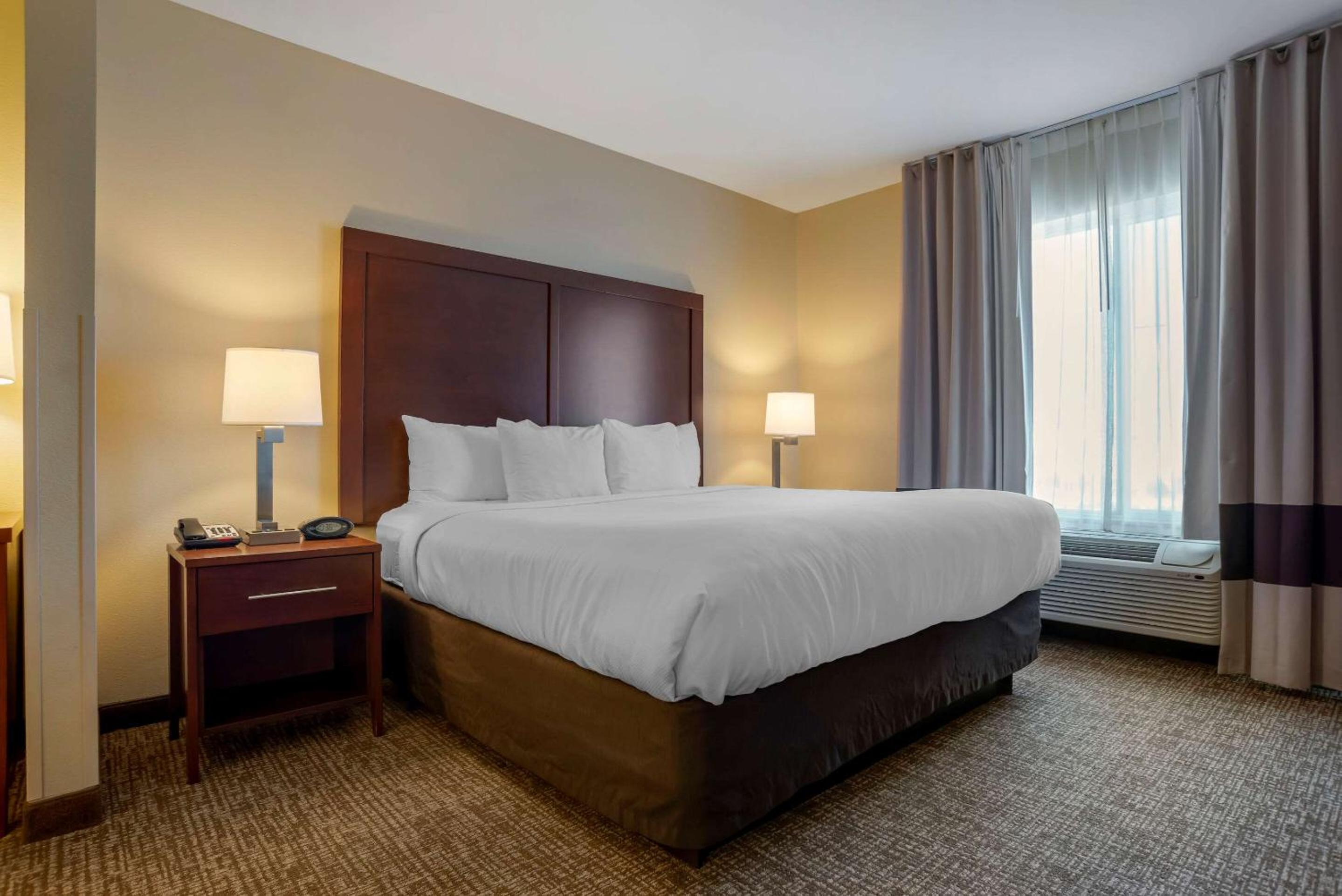 King Suite with Sofa Bed - Non-Smoking - Photo 4
