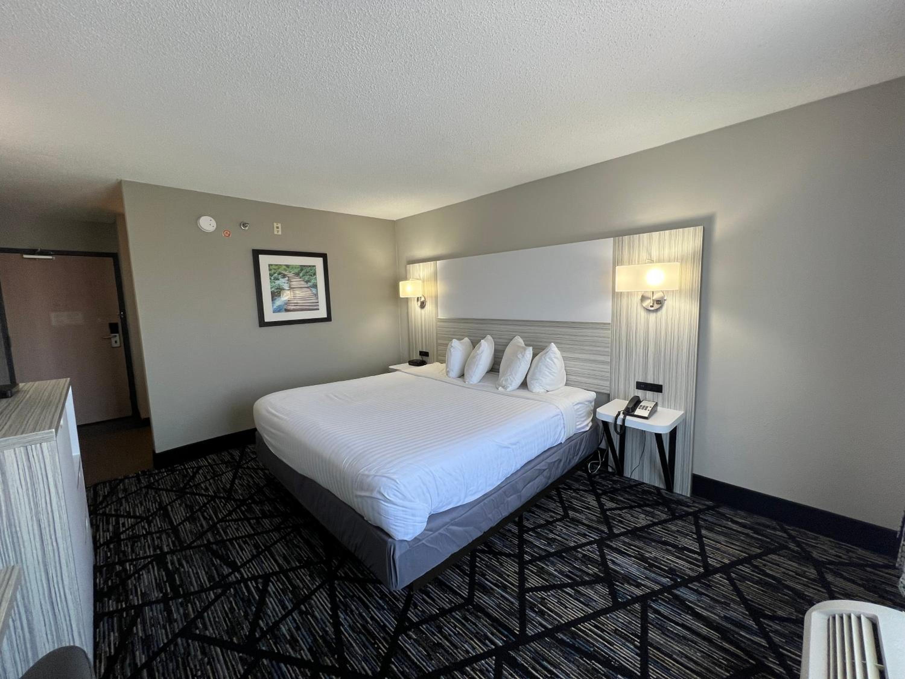 2 Double Beds and 1 King Bed, Studio Suite, Non-Smoking - Photo 2