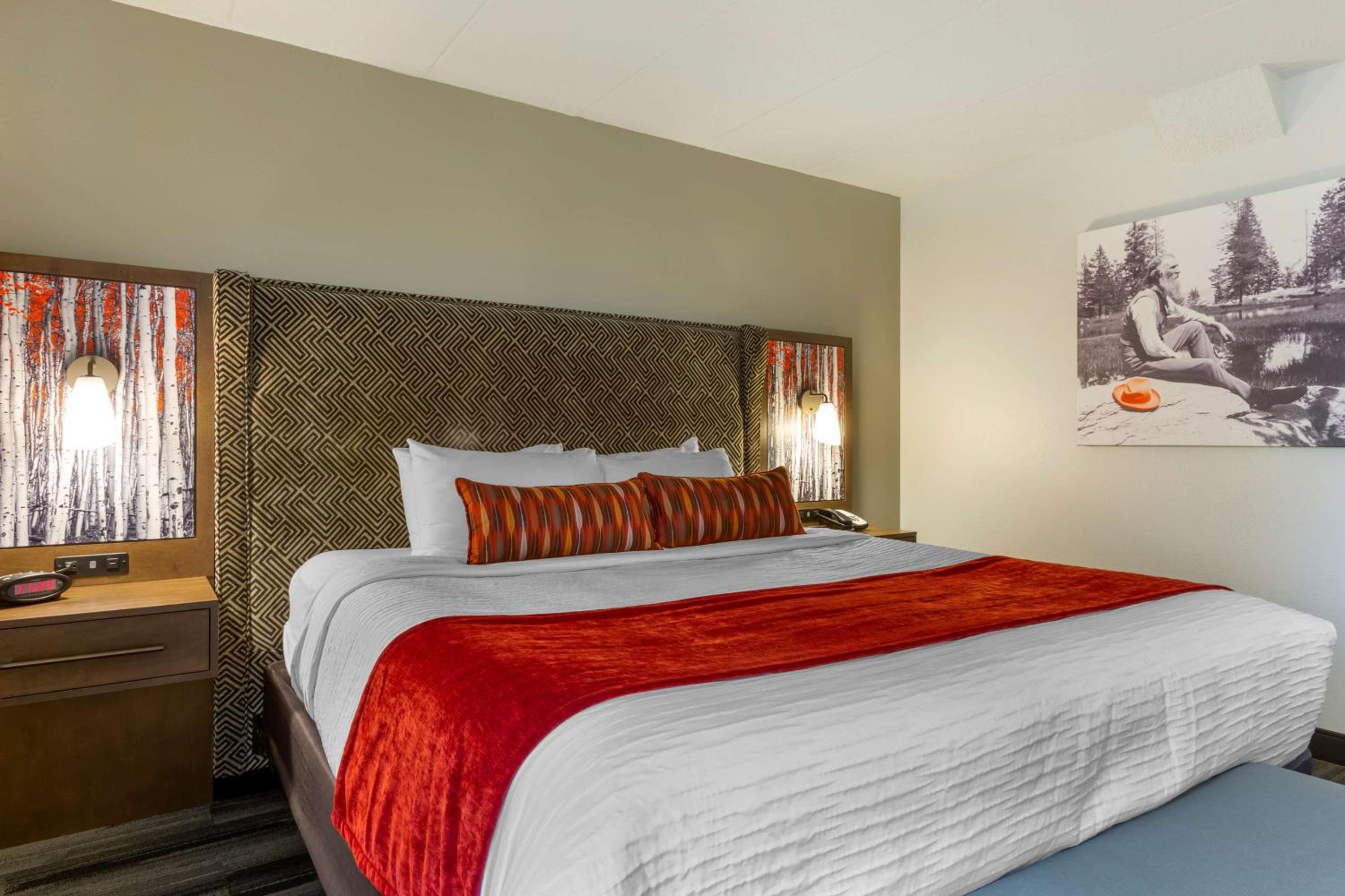 King Room - Disability Access - Photo 1