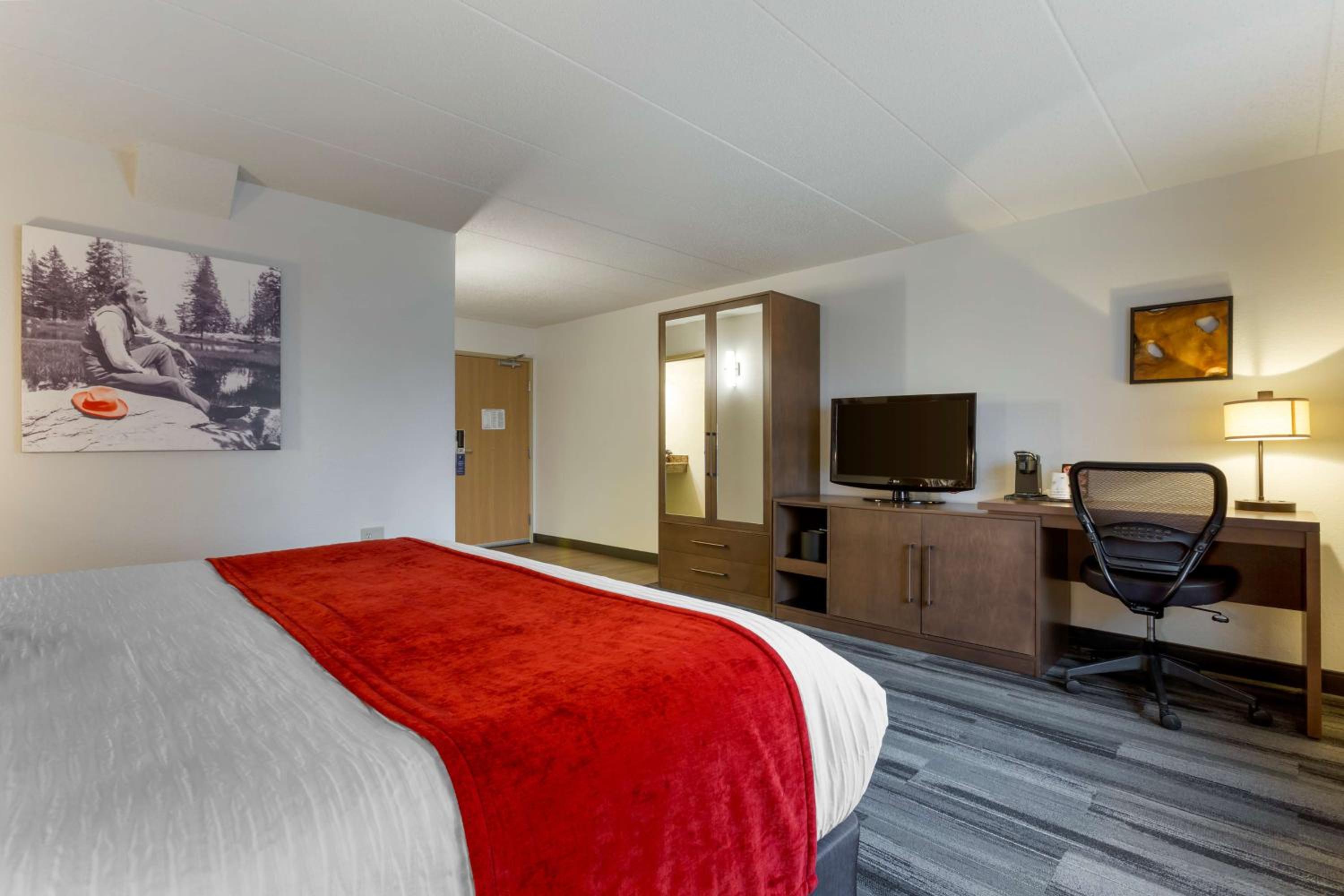 King Room - Non-Smoking - Photo 1