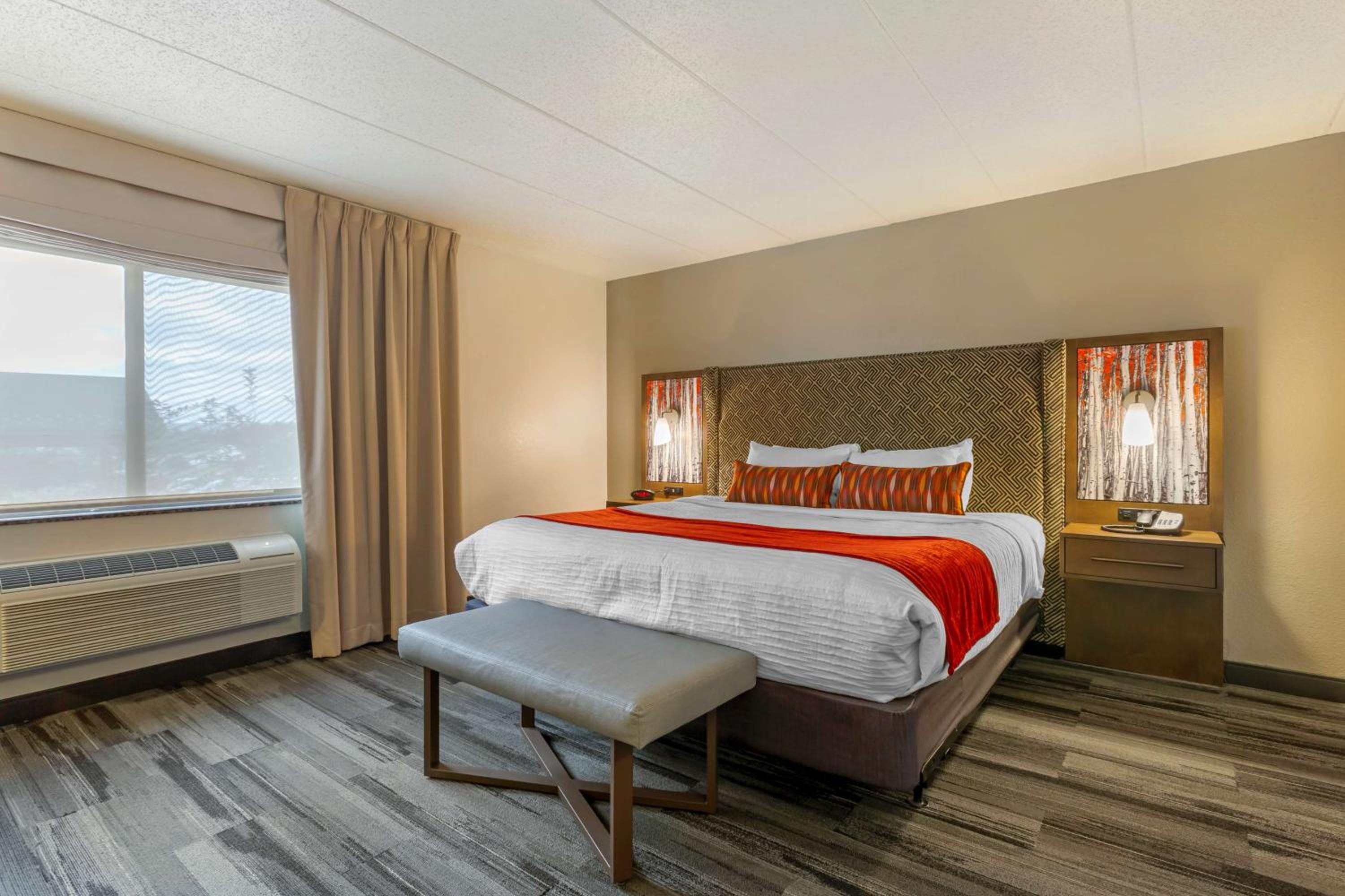 King Suite - Non-Smoking - Photo 1