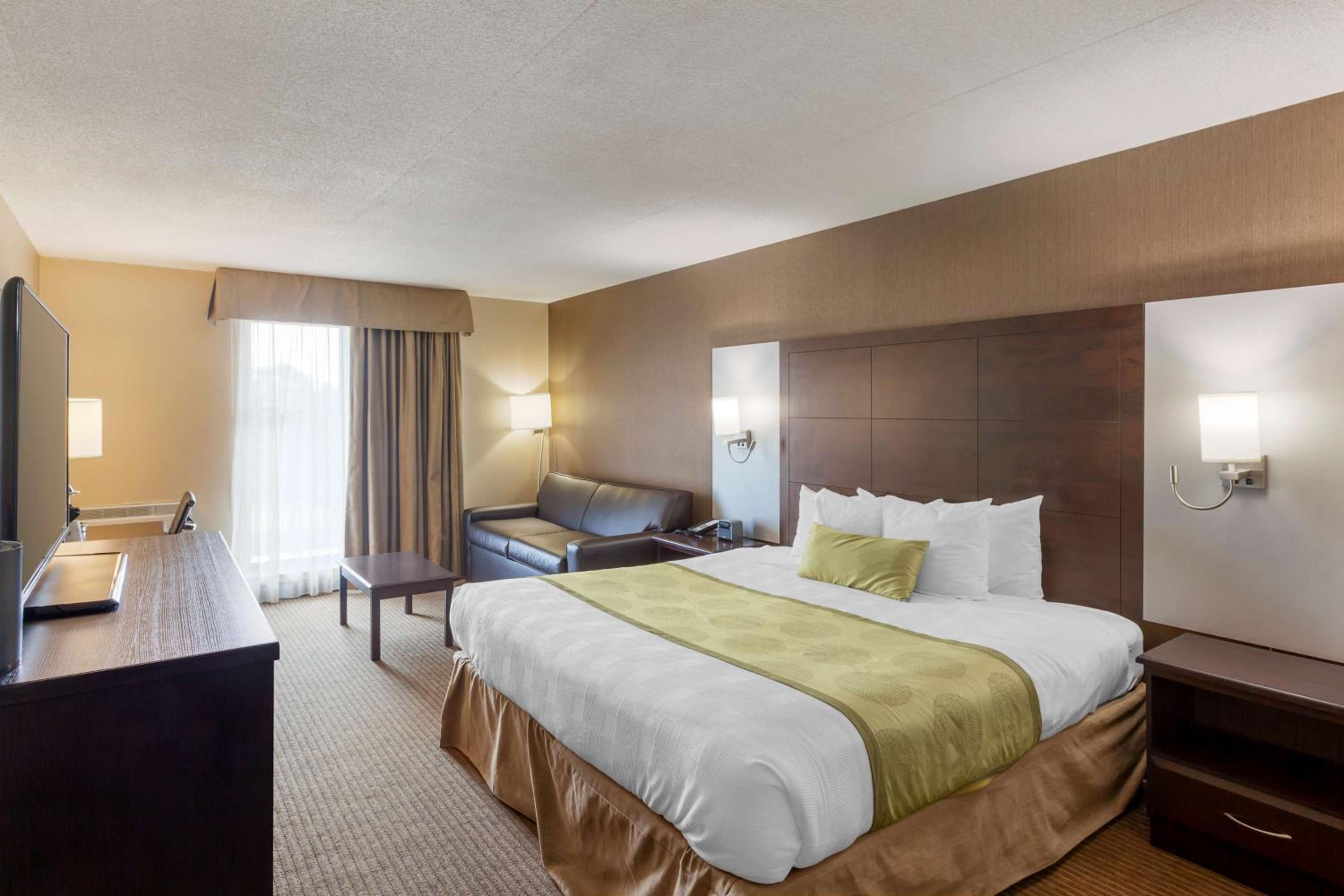 King Room with Sofa Bed - Disability Access - Photo 1