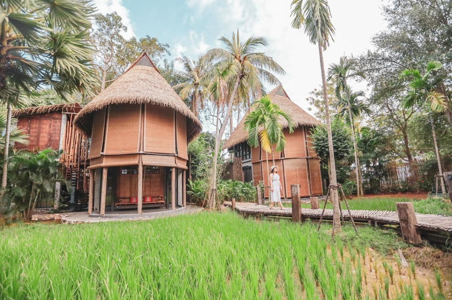 Rice Field Villa - Photo 17