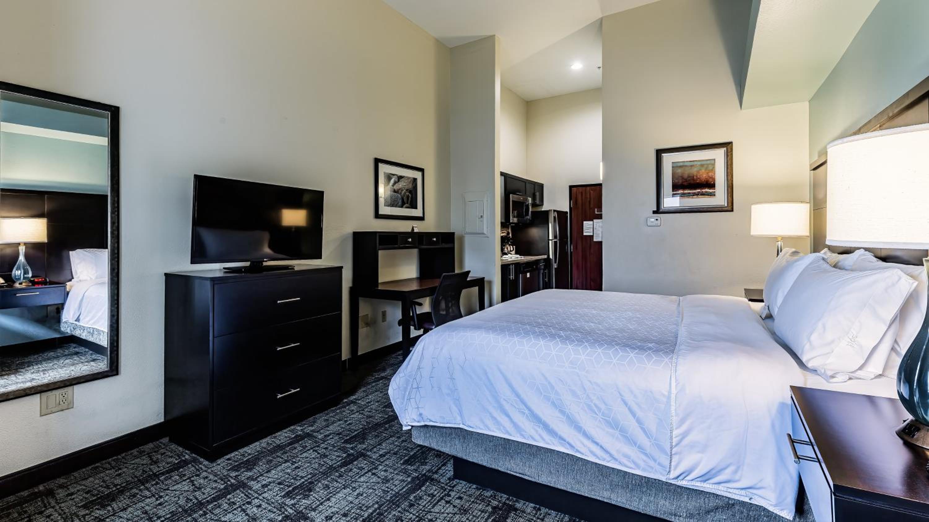 Studio Suite - Photo 1