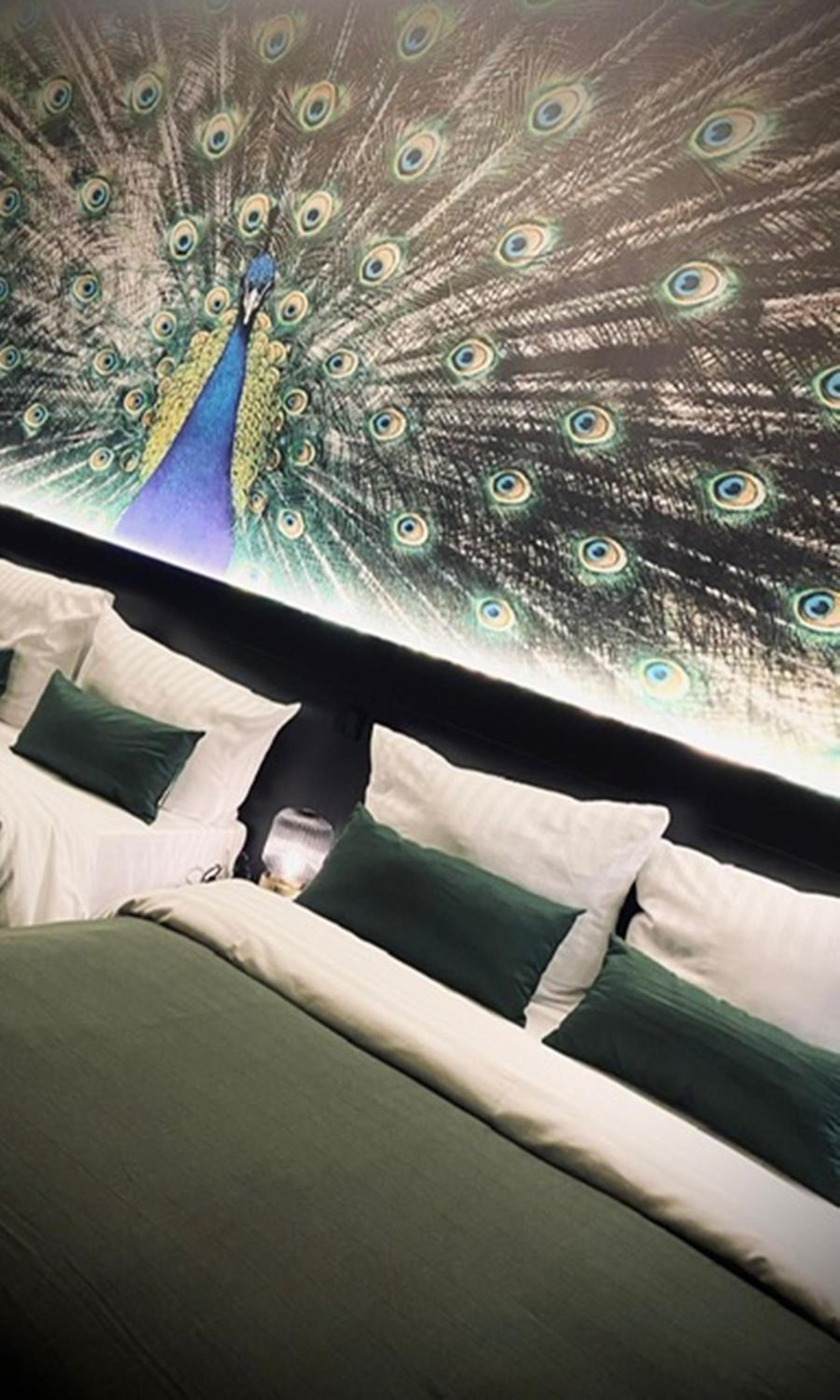Casino Quadruple Room - Photo 18