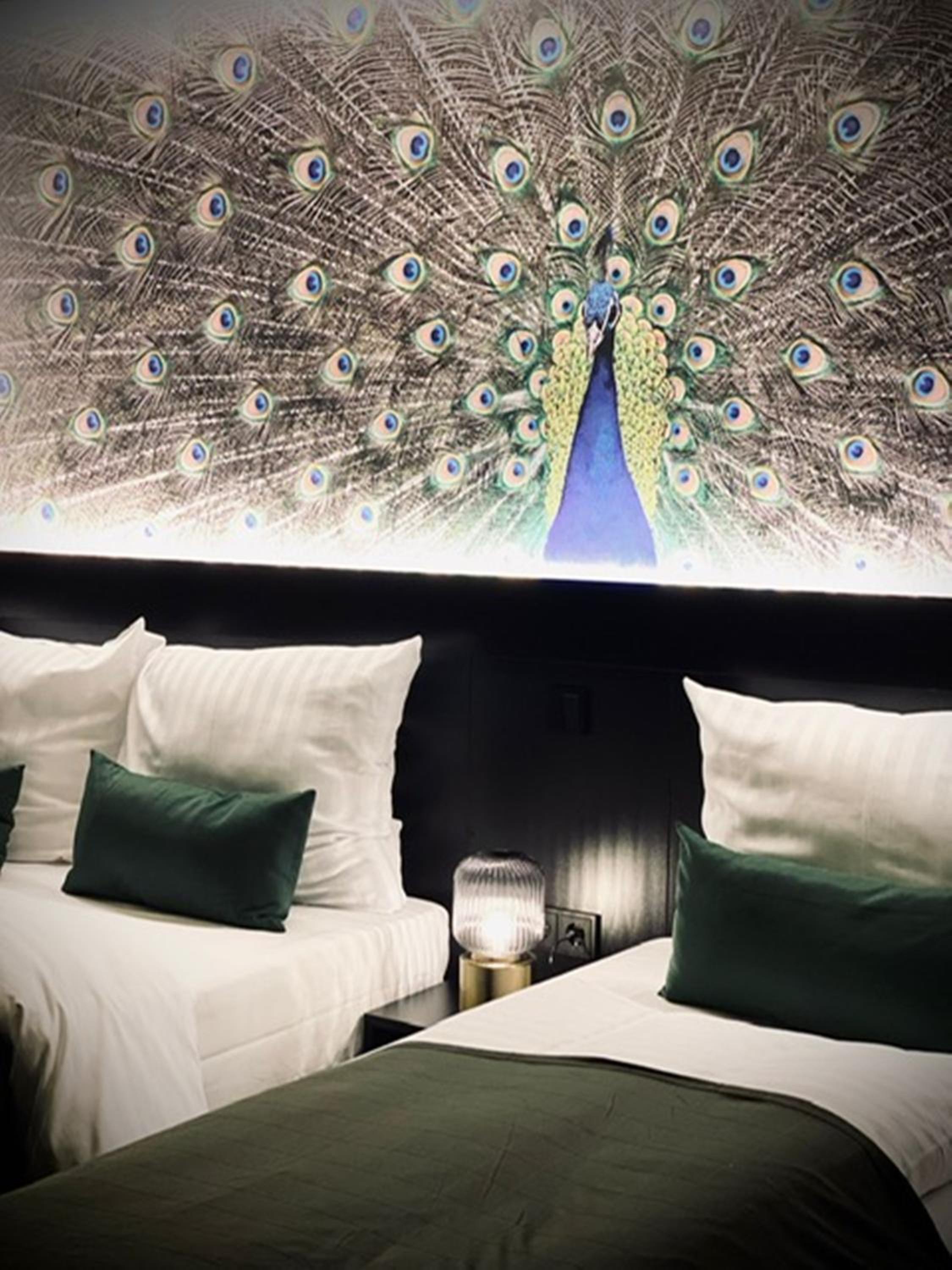Casino Quadruple Room - Photo 15