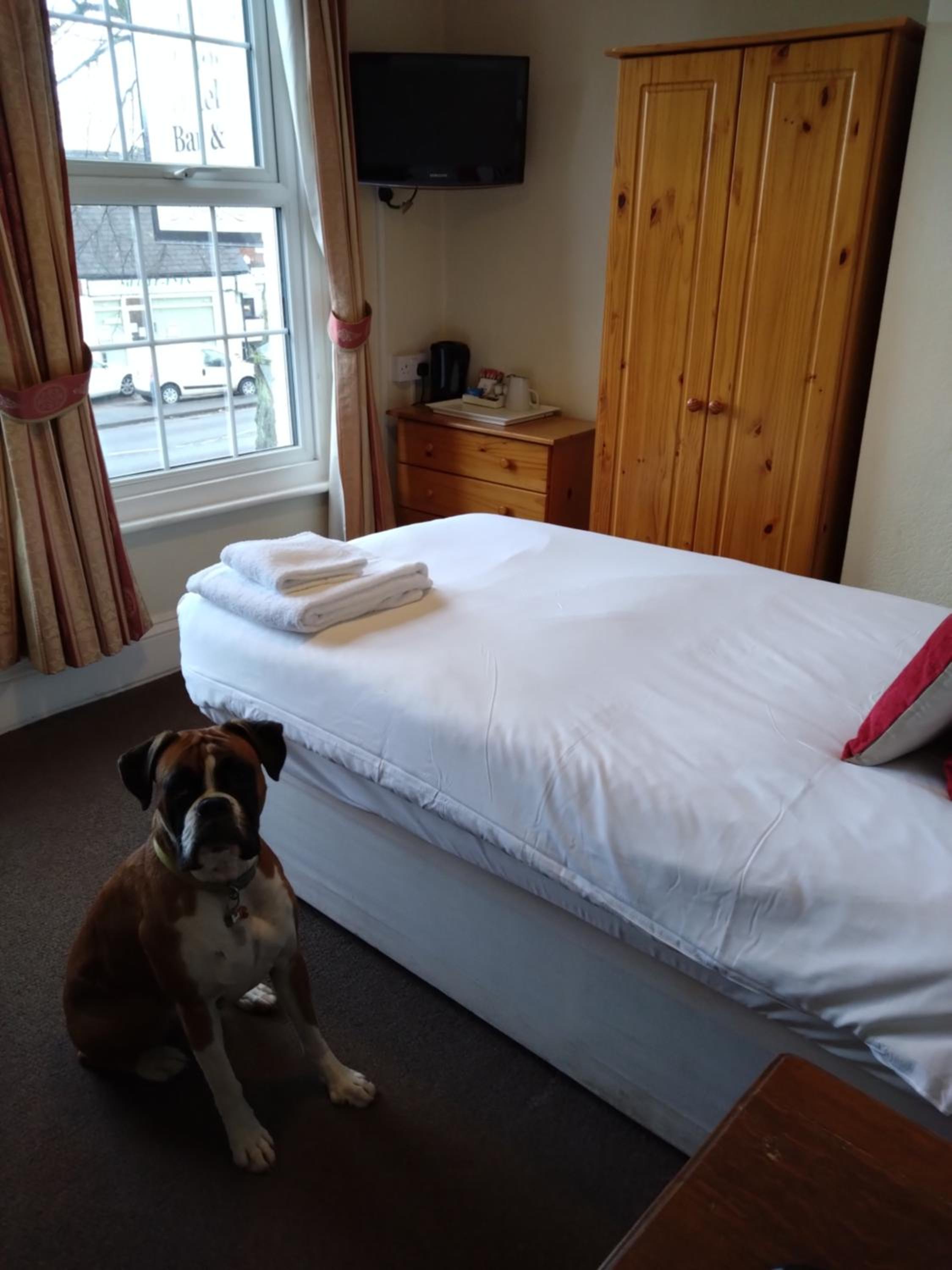 Single Room photo 2