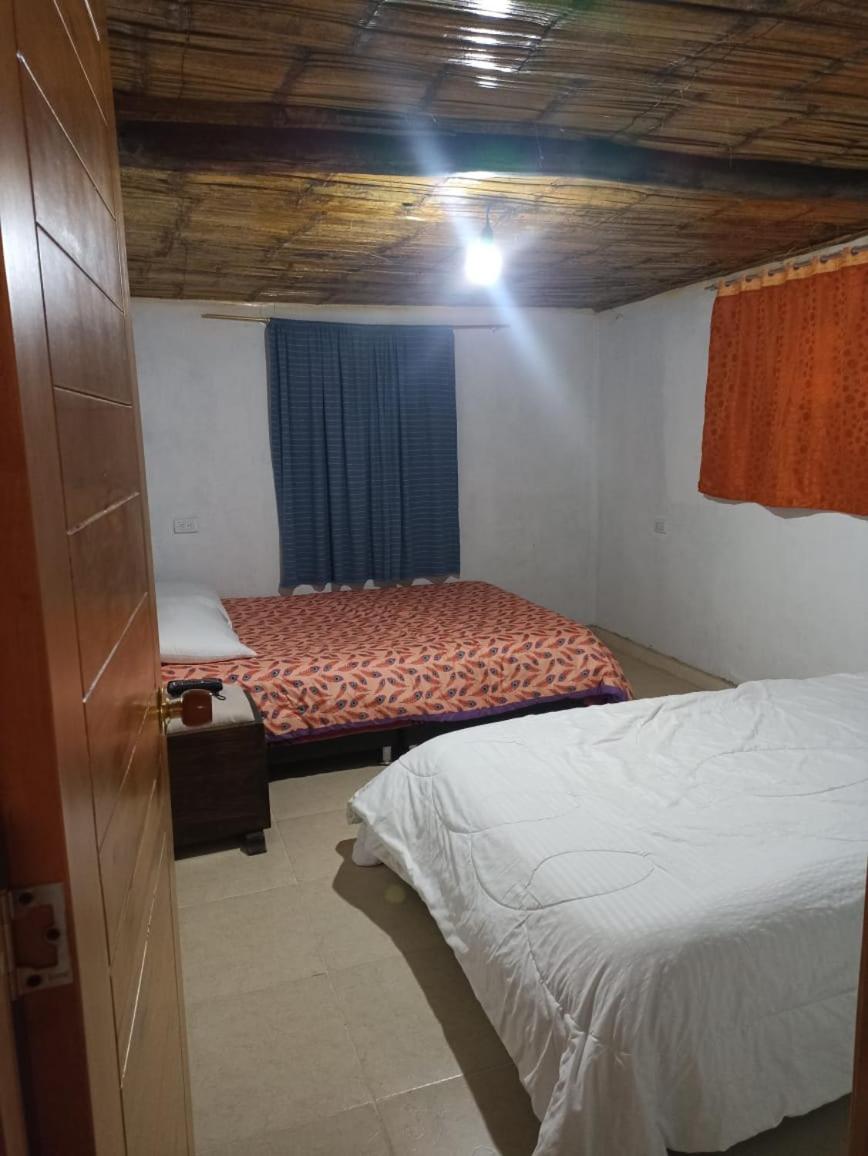 Double or Twin Room photo 3