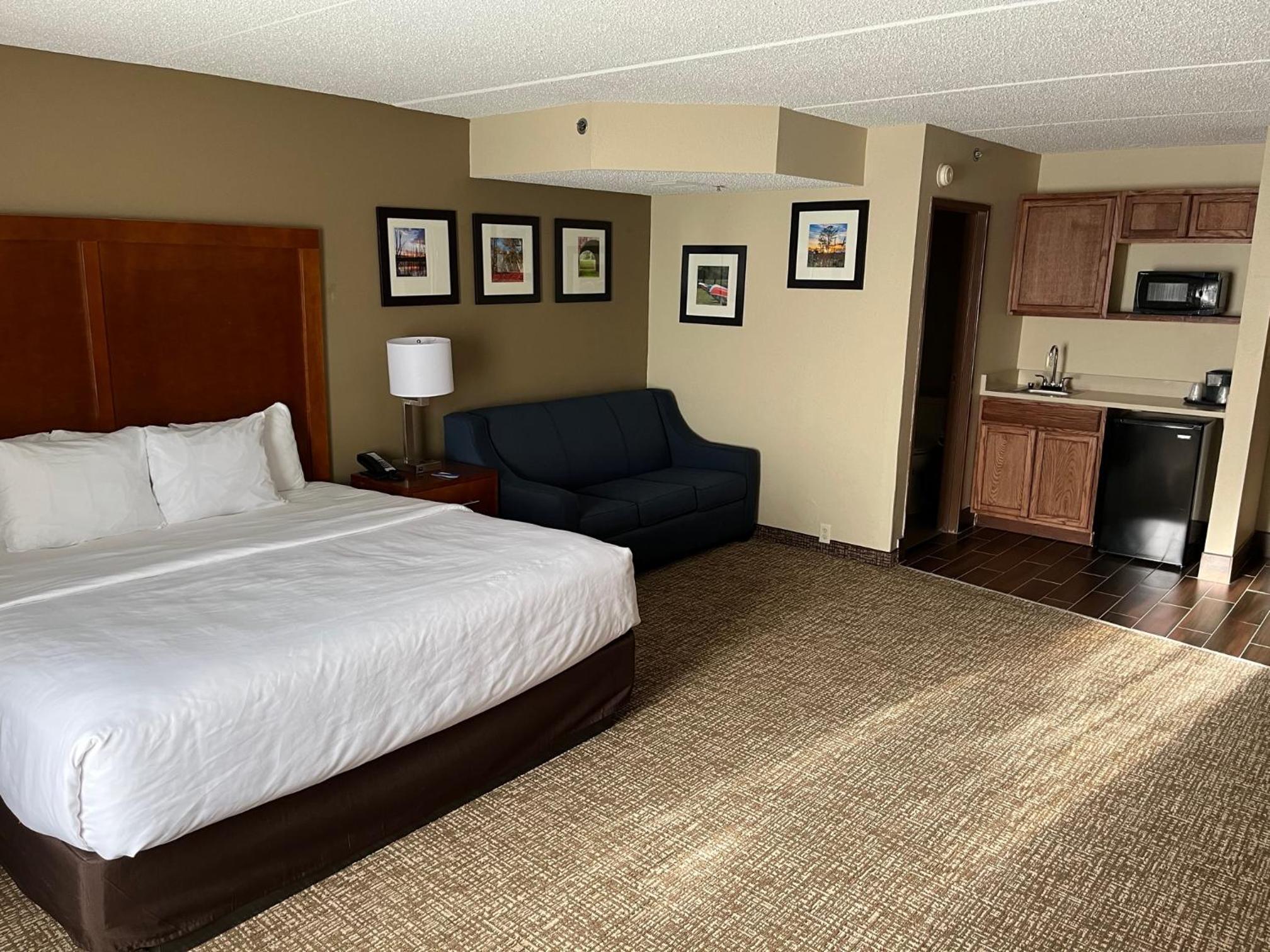 Deluxe King Studio Suite - Non-Smoking - Photo 1